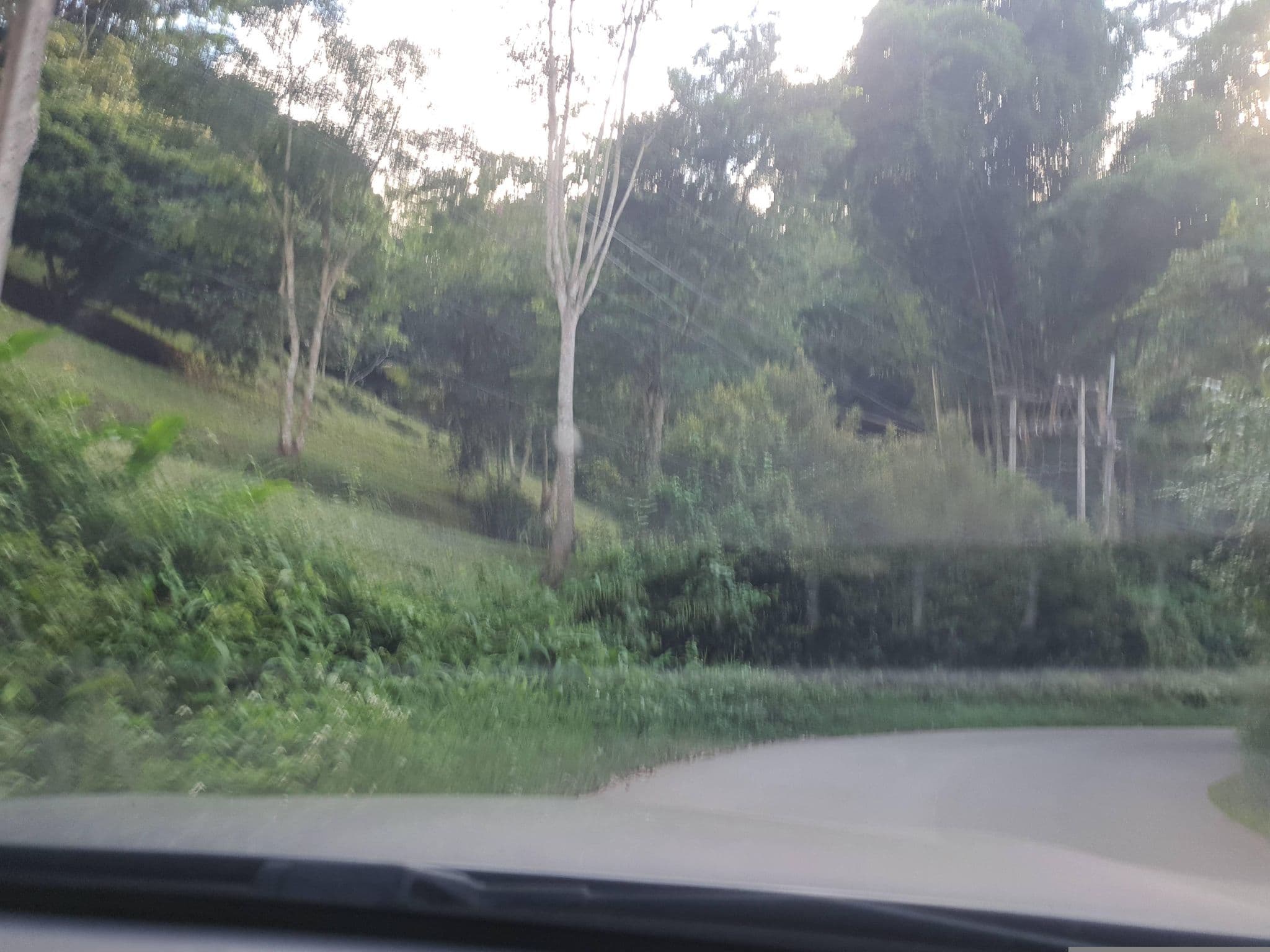 Street view near Swimming pool, Chiang Mai — © jrcarlsen (CC BY-SA · Mapillary)
