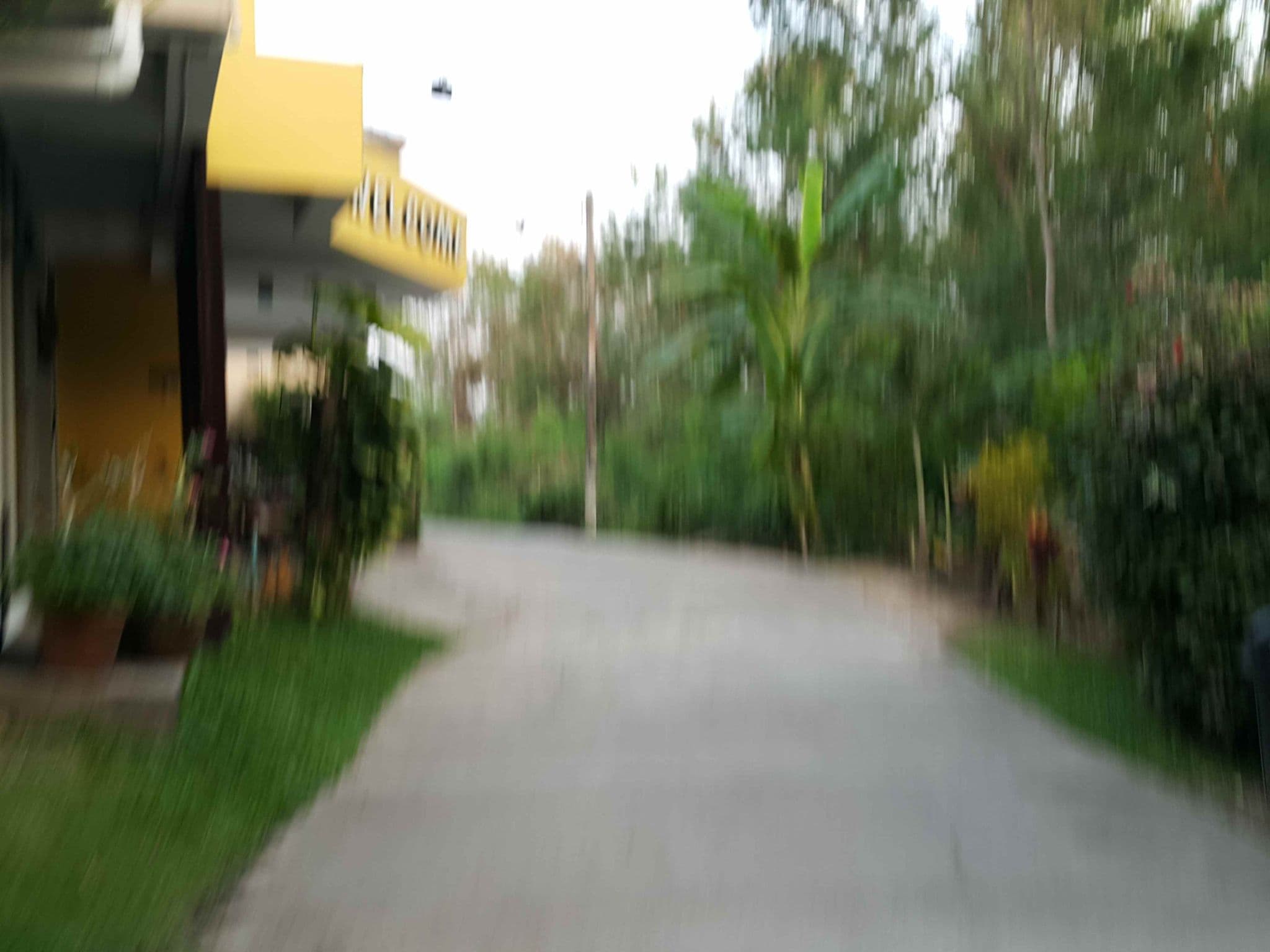 Street view near ชบาทิพย์รีสรอท์, San Kamphaeng — © jrcarlsen (CC BY-SA · Mapillary)