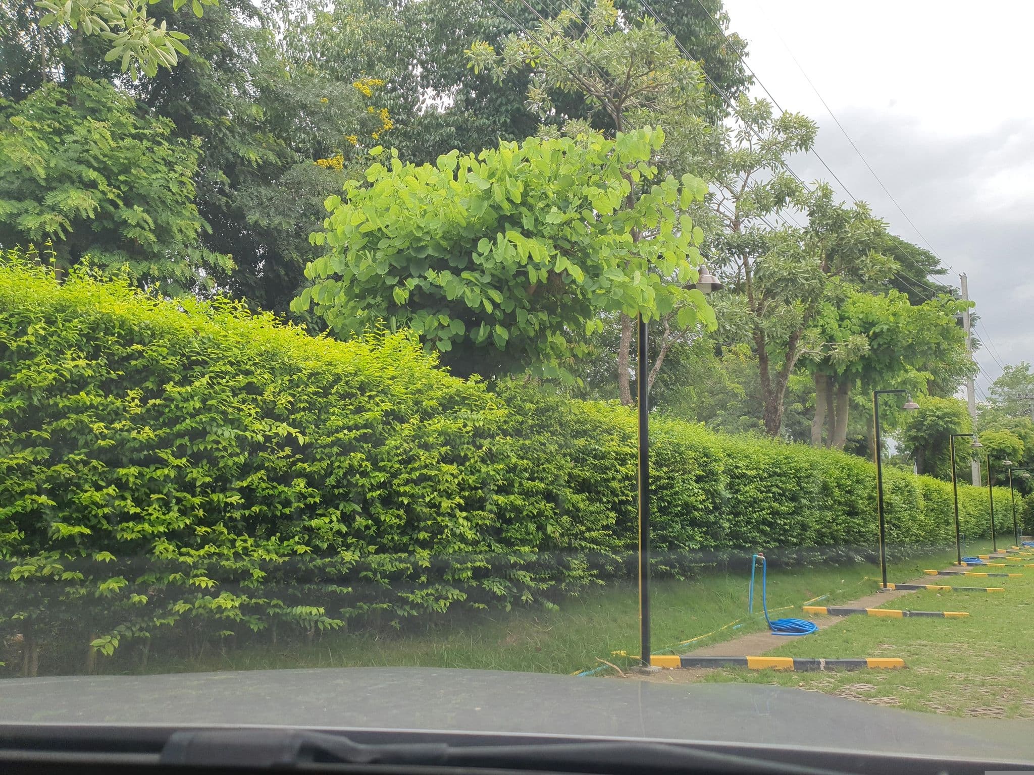 Street view near Srida Resort​ Lanna &​ Cafe', San Kamphaeng — © jrcarlsen (CC BY-SA · Mapillary)