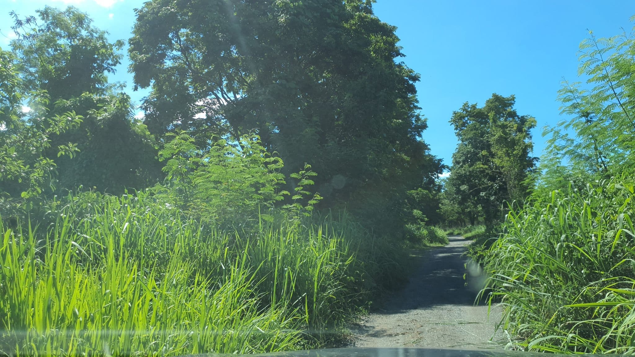 Street view near ไร่รักศรี, San Kamphaeng — © jrcarlsen (CC BY-SA · Mapillary)