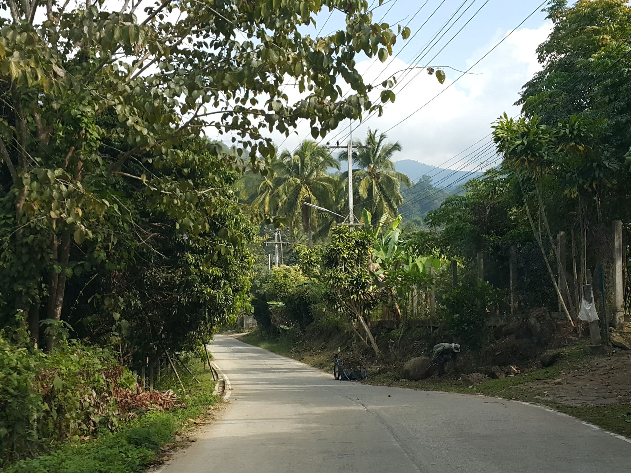 Street view near Lychee Home - บ้านลิ้นจี่, San Kamphaeng — © jrcarlsen (CC BY-SA · Mapillary)