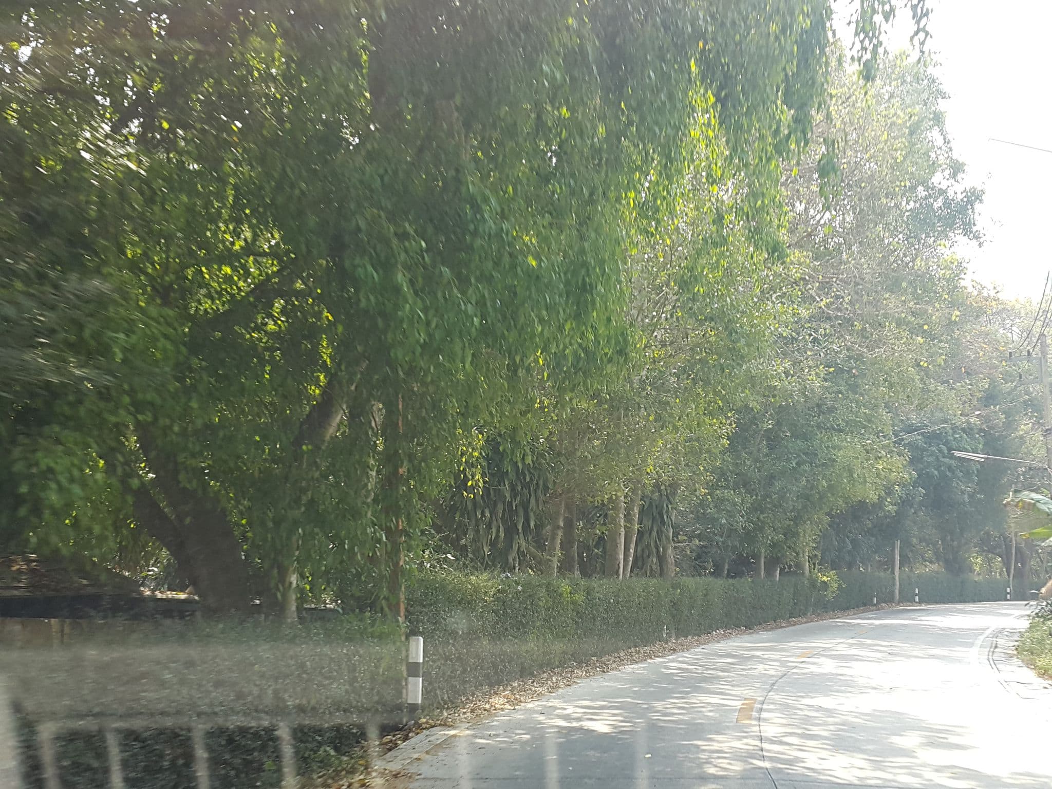 Street view near Sippa Hot&Spring Resort, San Kamphaeng — © jrcarlsen (CC BY-SA · Mapillary)