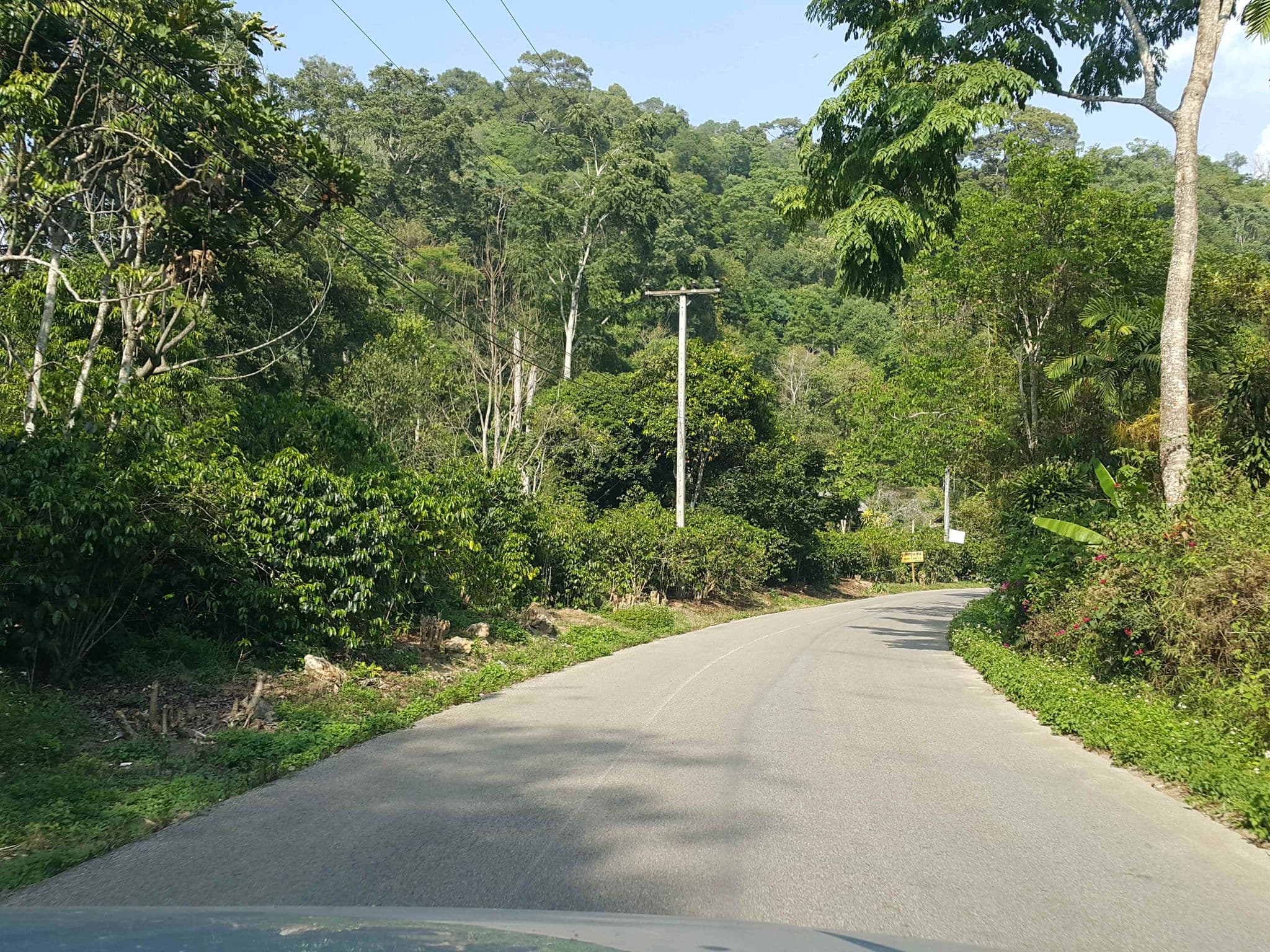 Street view near Voraman Hut, San Kamphaeng — © jrcarlsen (CC BY-SA · Mapillary)