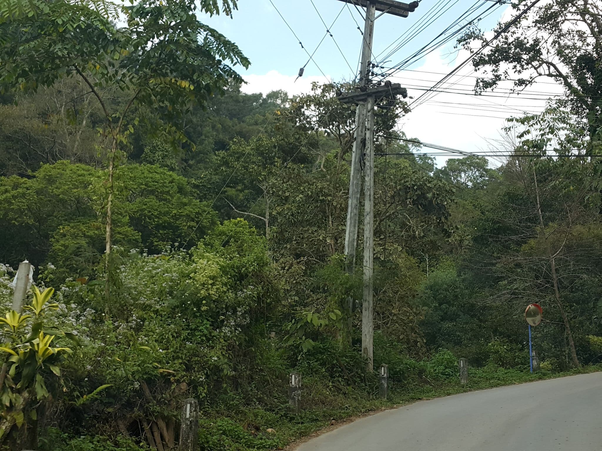 Street view near วิลลา วาดี แม่กำปอง, San Kamphaeng — © jrcarlsen (CC BY-SA · Mapillary)
