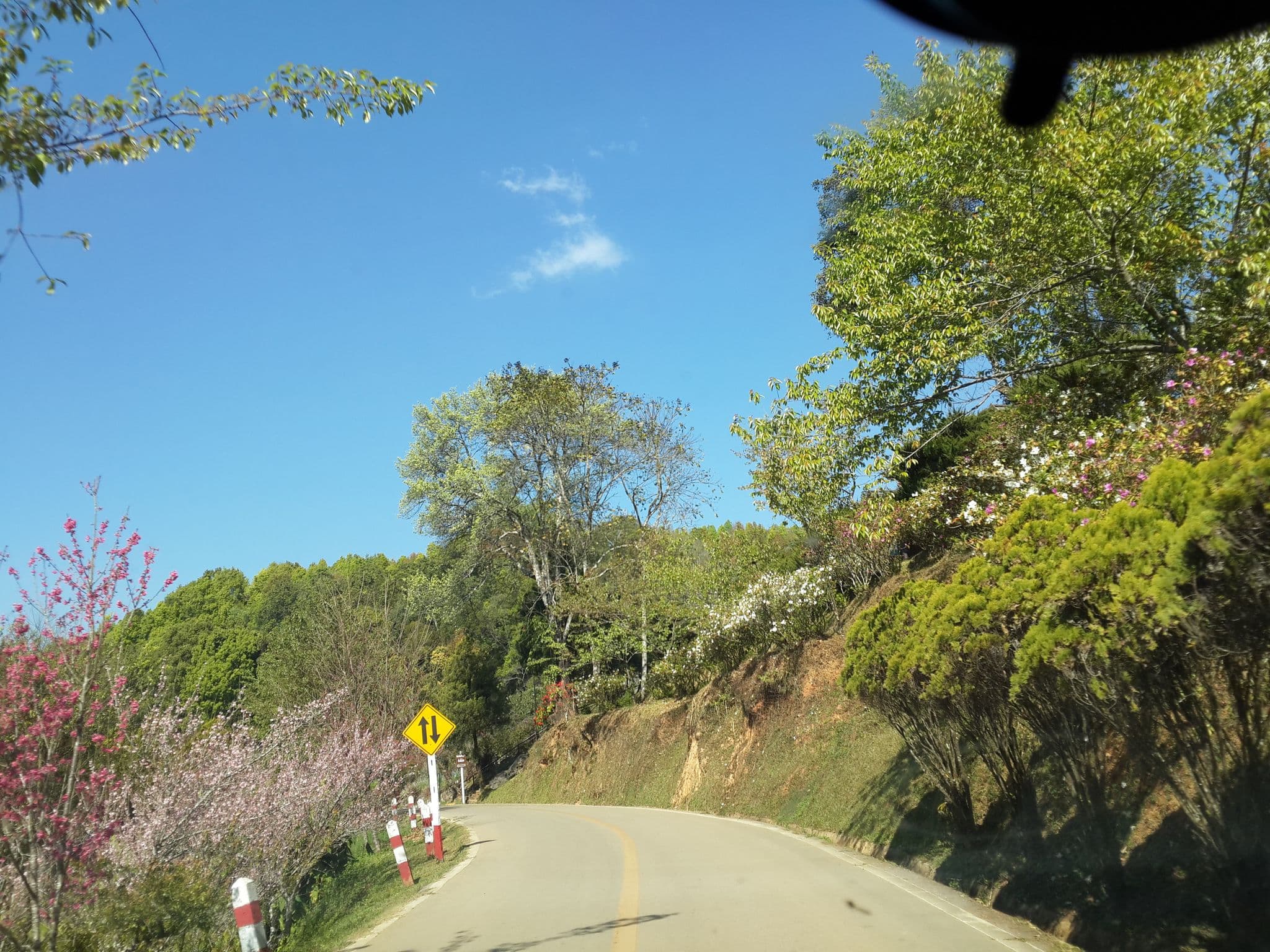 Street view near บ้านพักสถานีเกษตรหลวงอ่างขาง, Fang — © mishari (CC BY-SA · Mapillary)