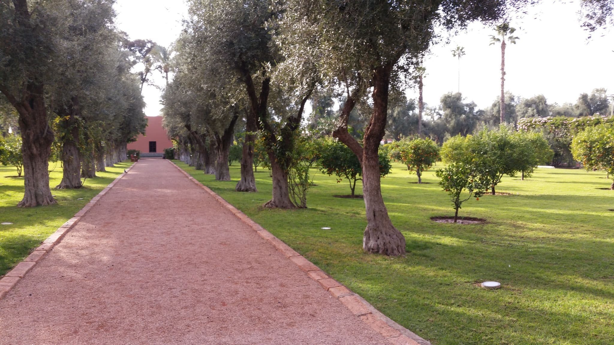 Street view near Heritage, Marrakesh — © shlublu (CC BY-SA · Mapillary)