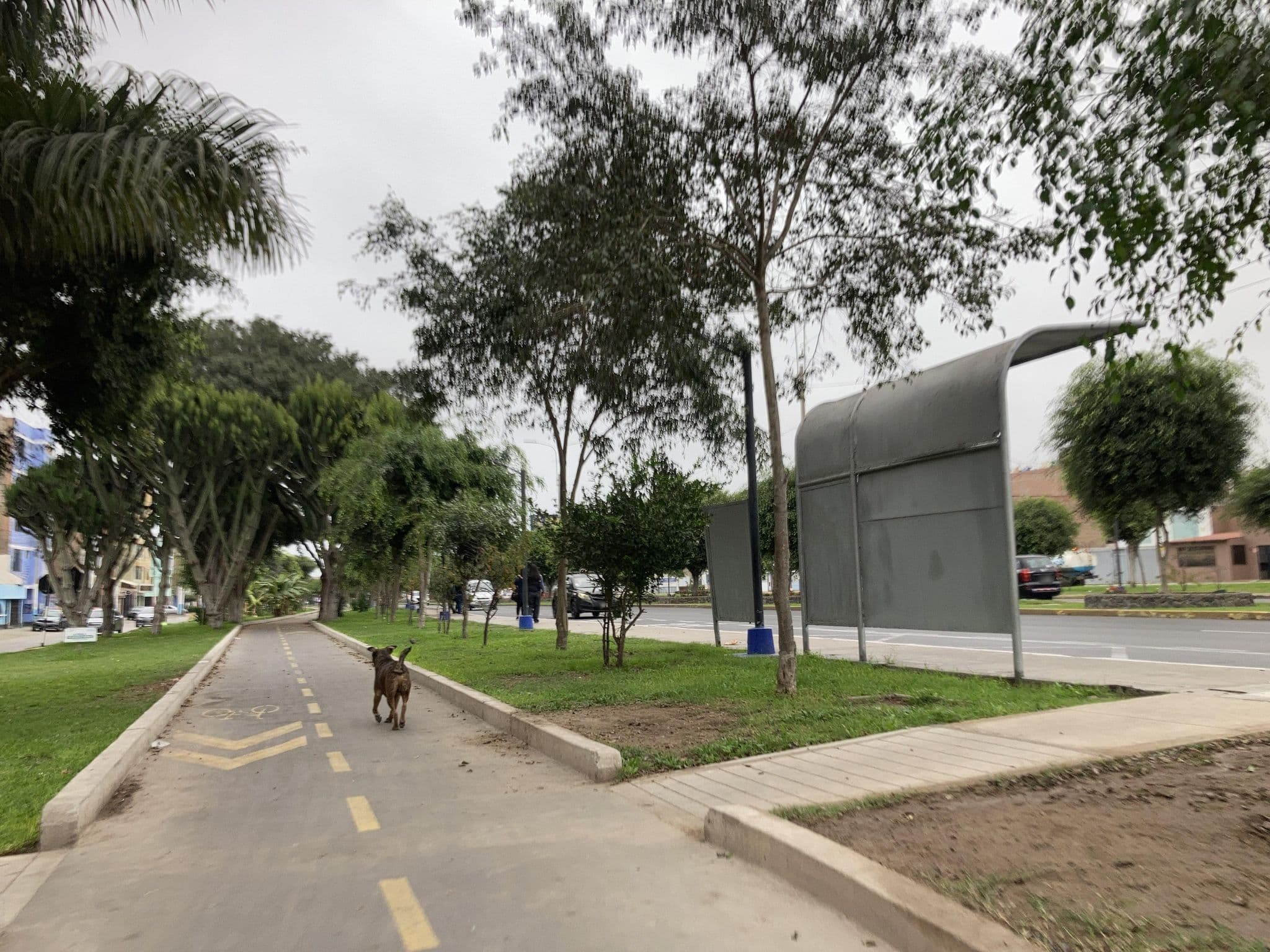 Street view near Hotel Nevado, Carmen De La Legua Reynoso — © JavierFlores0411 (CC BY-SA · Mapillary)