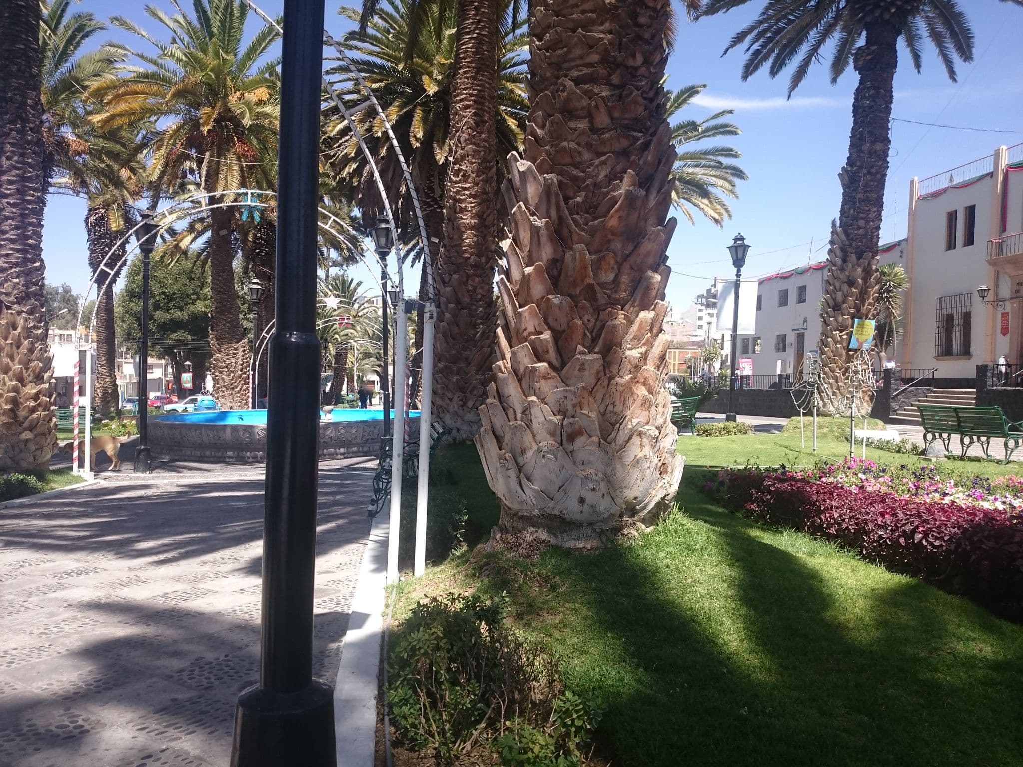 Street view near Hostal Souvenirs, Arequipa — © sguinetti (CC BY-SA · Mapillary)