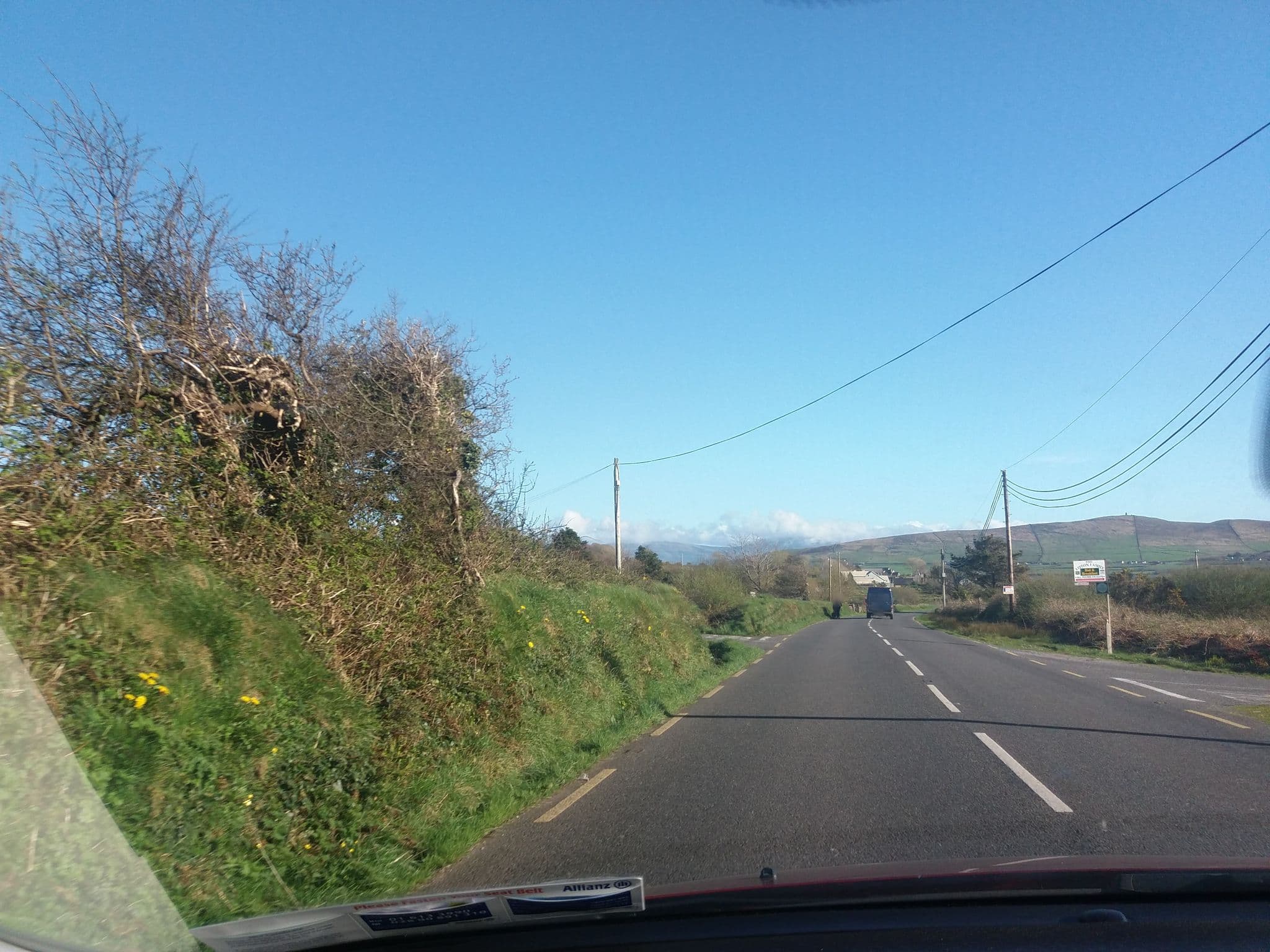 Street view near Liston's B&B, Dingle — © tshedy (CC BY-SA · Mapillary)