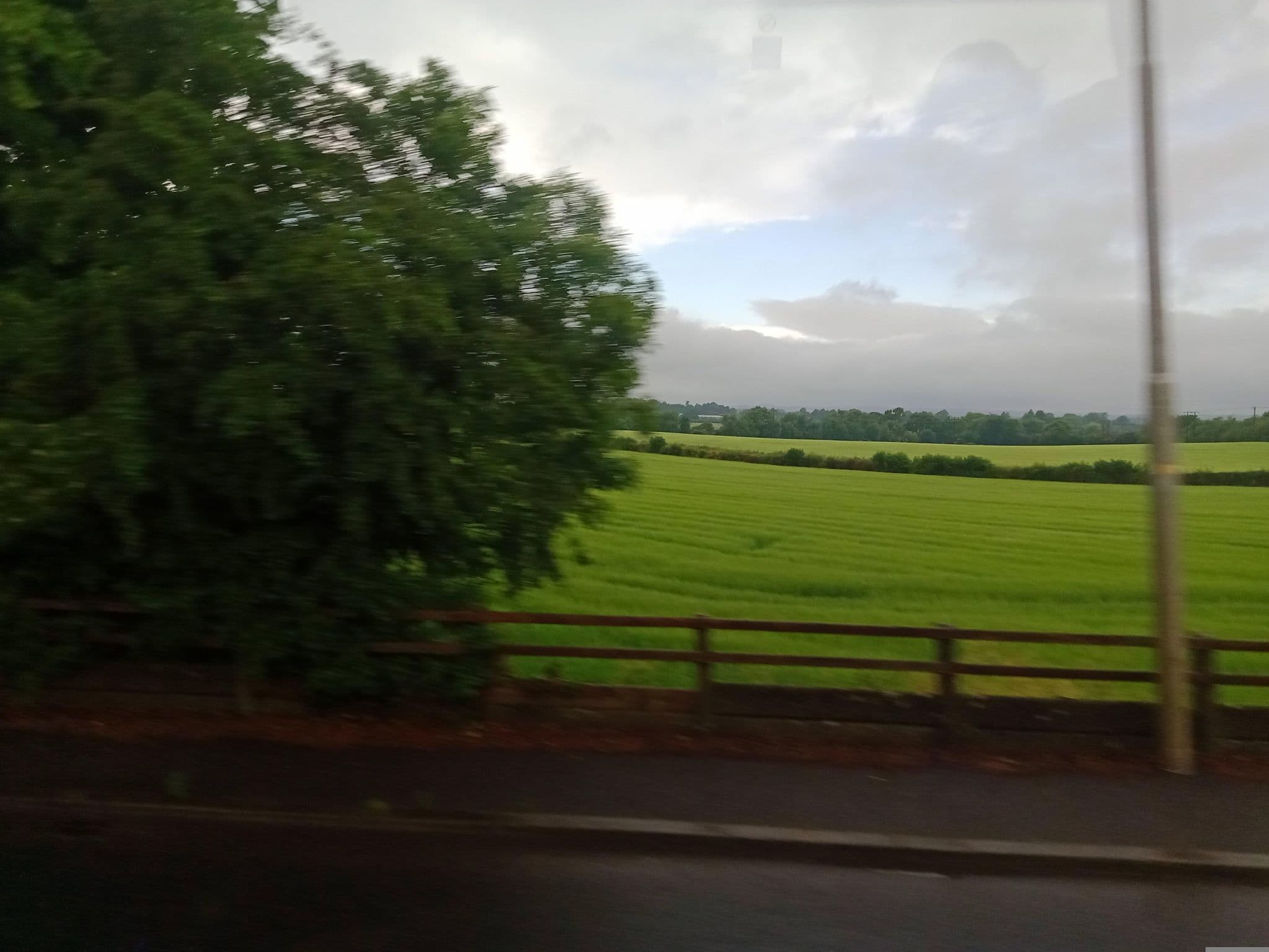 Street view near Auburndale Guesthouse, Kilkenny — © annekaro (CC BY-SA · Mapillary)