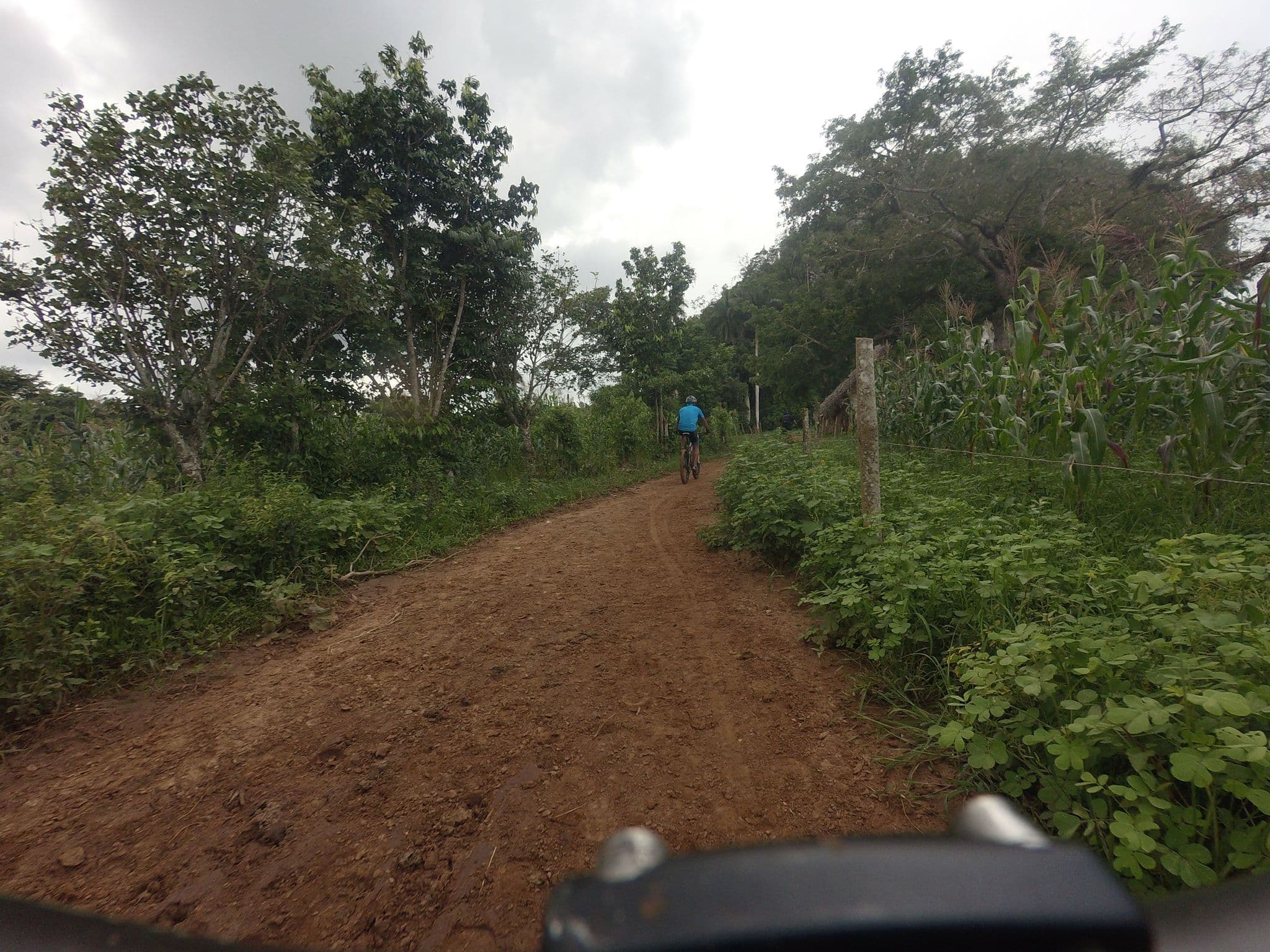 Street view near Vega de Tabaco de Liona, Viñales