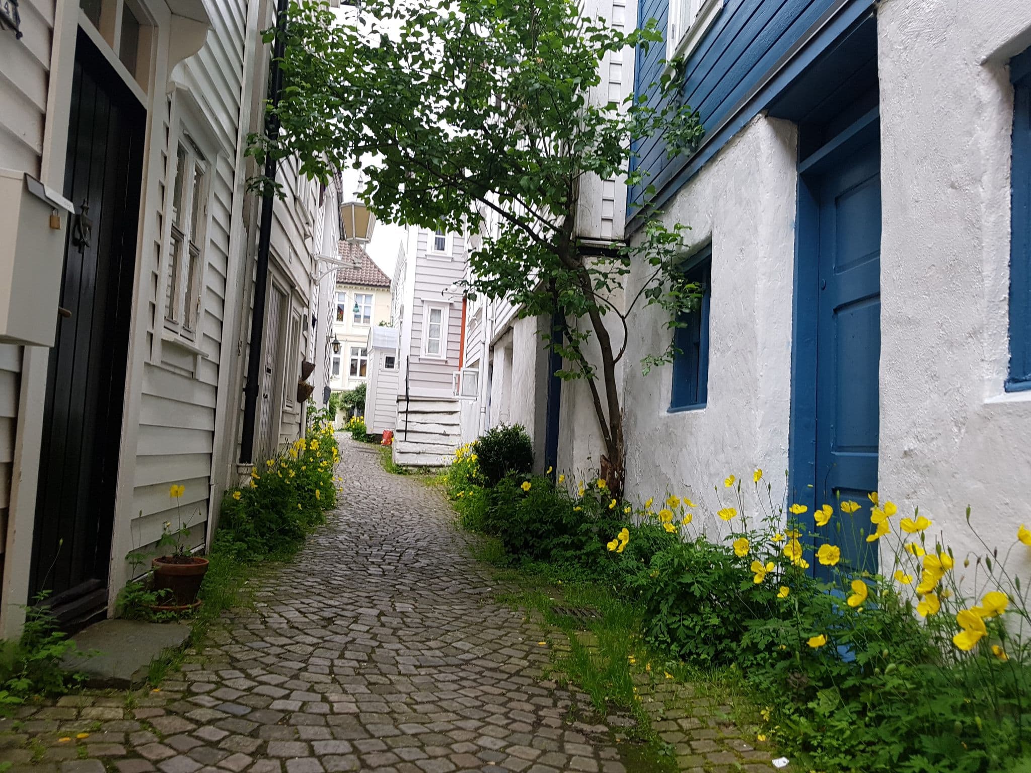 Street view near Bergen Beds, Bergen — © pbb (CC BY-SA · Mapillary)