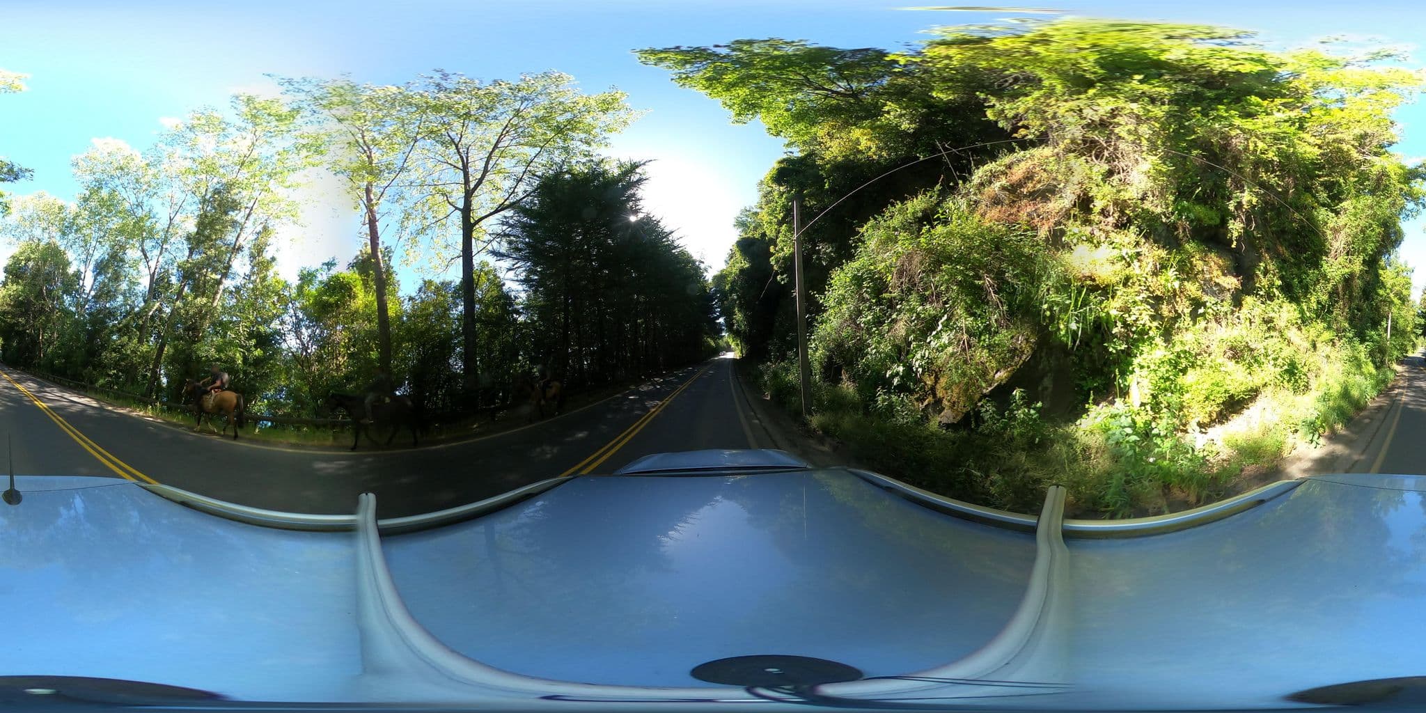 Street view near Cabañas Las Quebradas, Villarrica — © Kaart_Local (CC BY-SA · Mapillary)