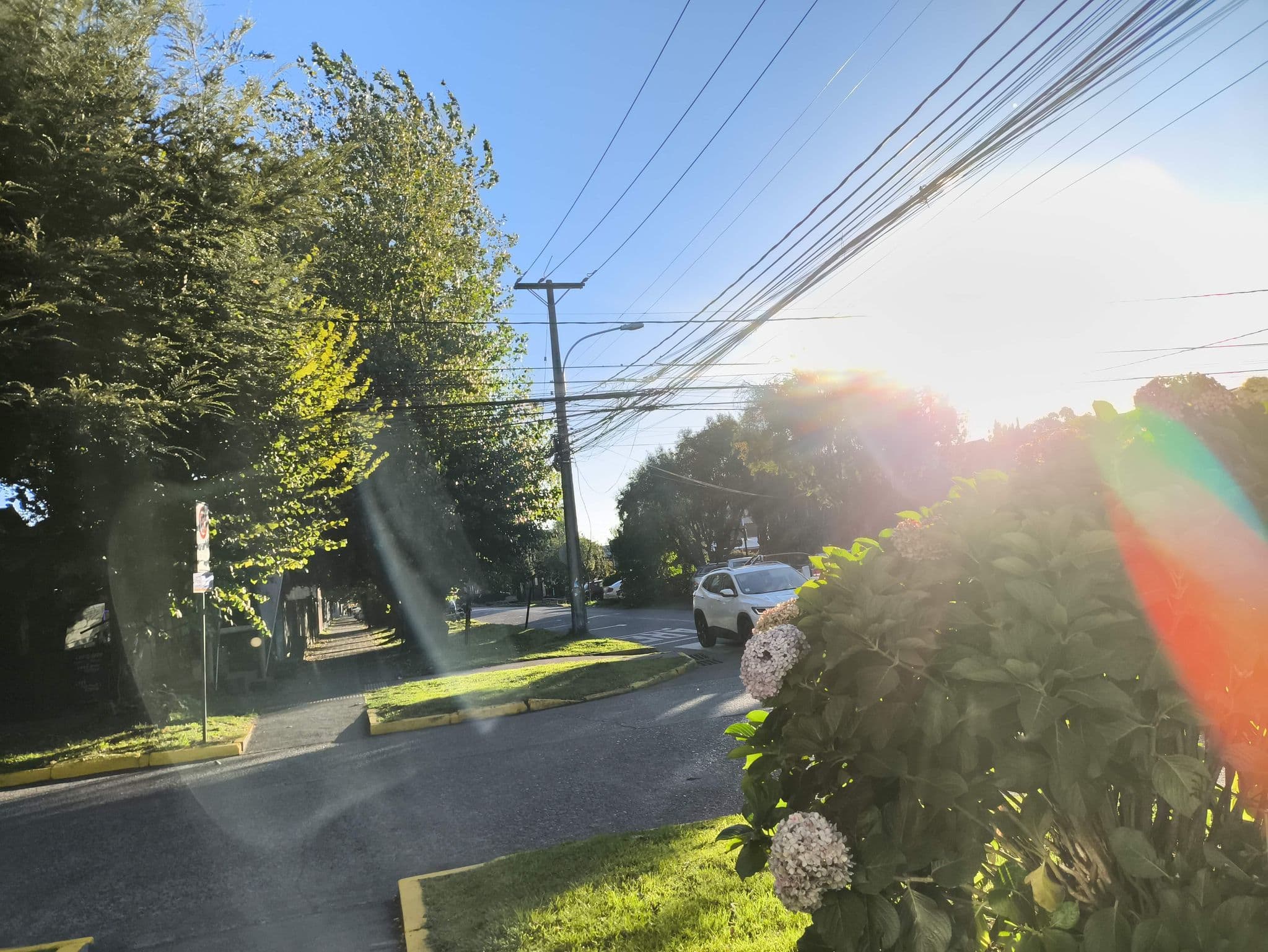 Street view near Nova Vista, Pucón — © cotelabarca (CC BY-SA · Mapillary)