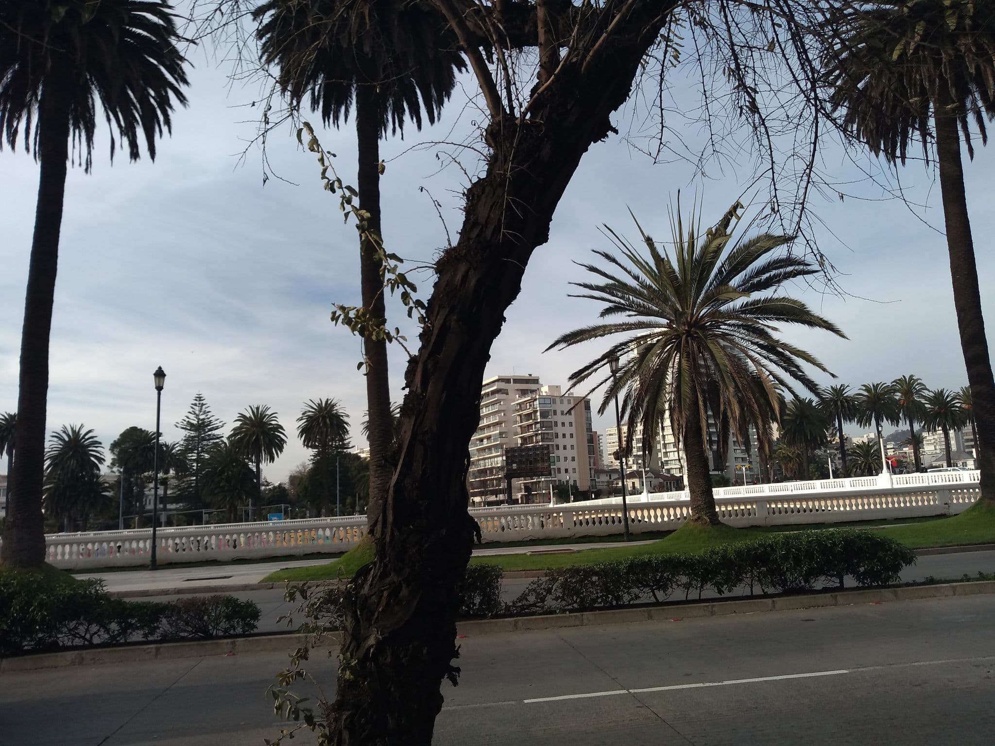 Street view near Apartamentos Capital Viña del Mar, Viña del Mar — © feli84 (CC BY-SA · Mapillary)