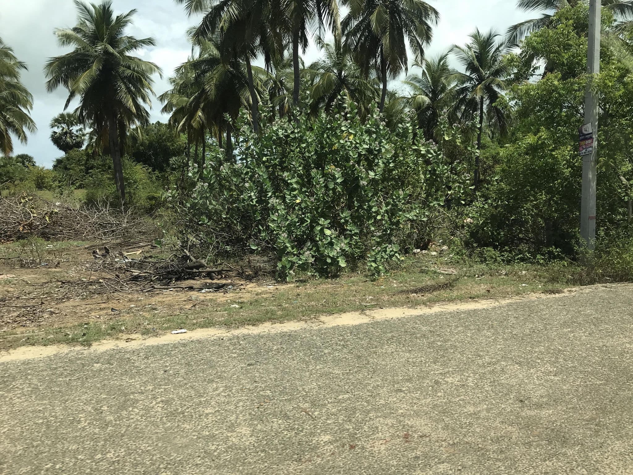 Street view near Stay Golden, Pottuvil — © maheshika (CC BY-SA · Mapillary)
