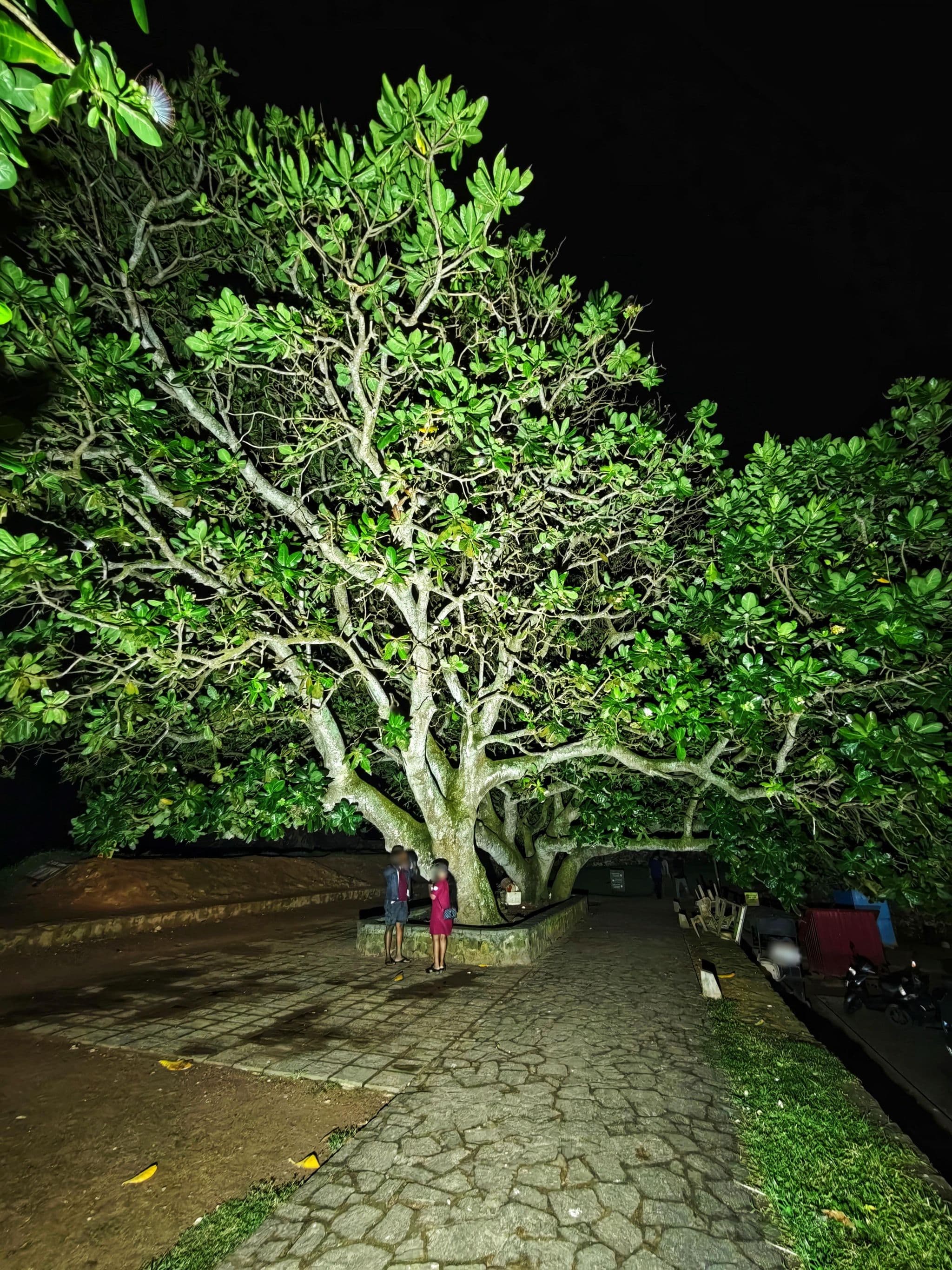 Street view near Samaya Fort Hotel, Galle — © km2bp (CC BY-SA · Mapillary)