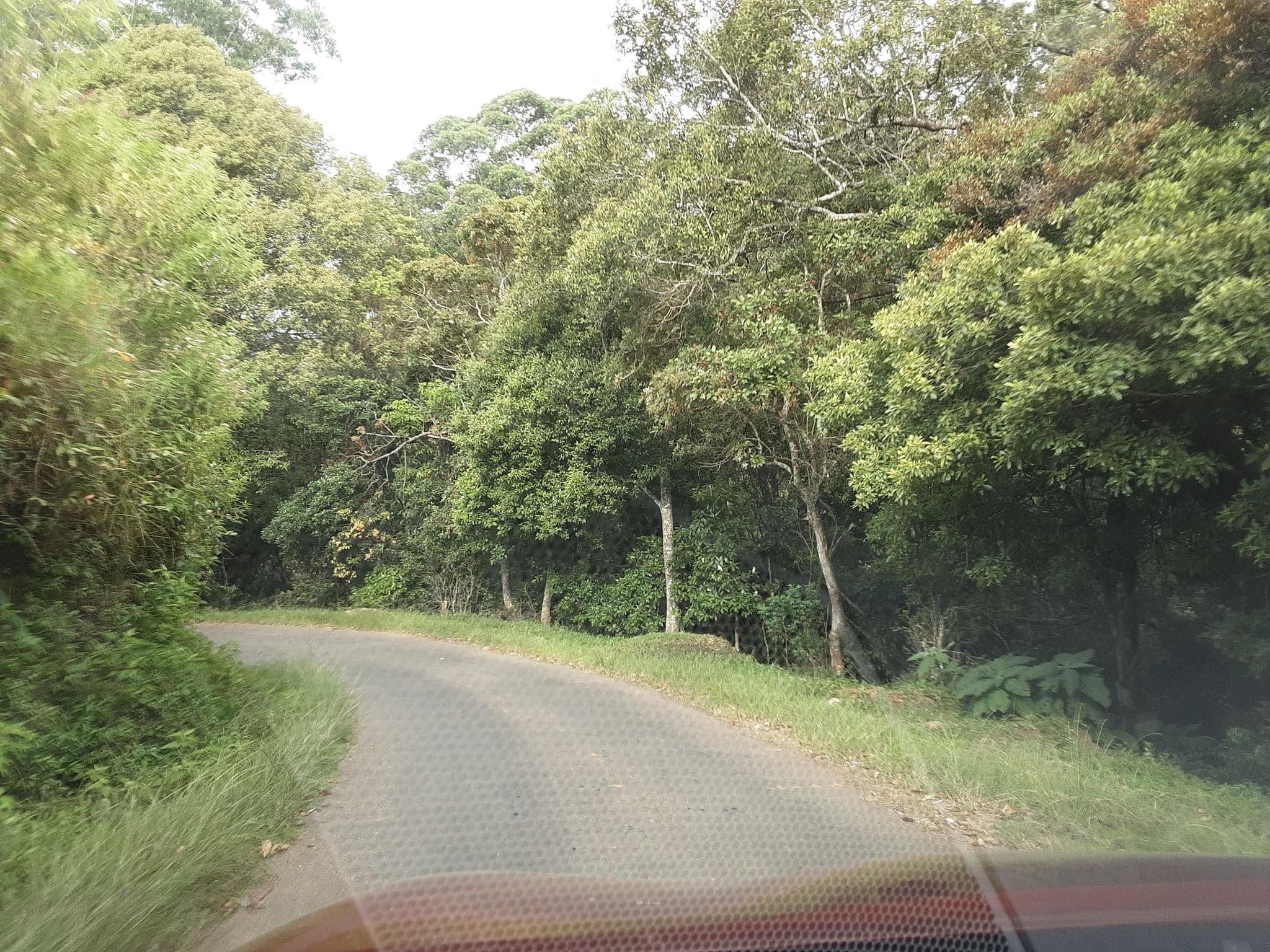 Street view near Horton Mountain, Haputale — © ZihanZarouk (CC BY-SA · Mapillary)