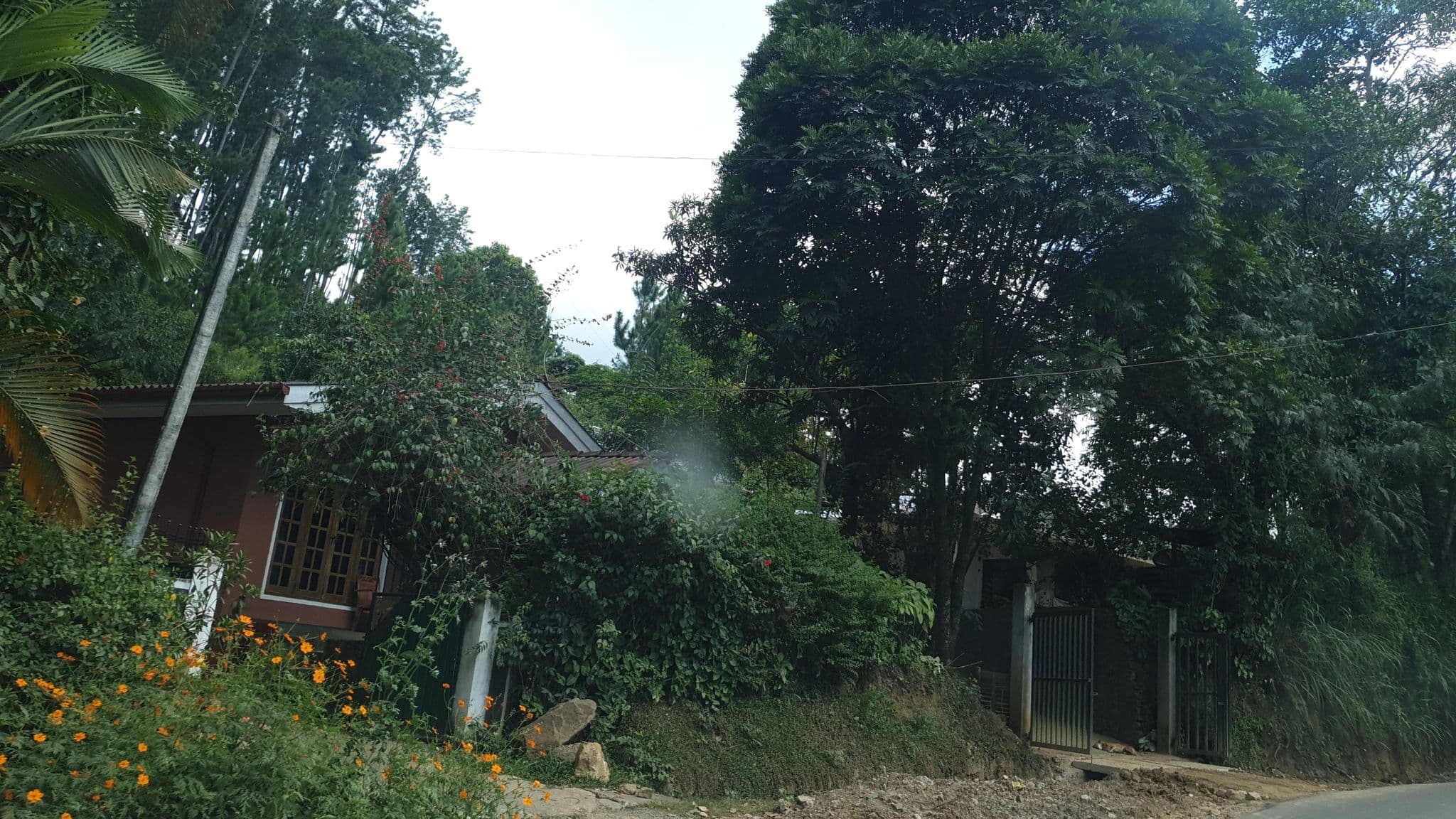 Street view near Little Folly, Ella Town — © coreagc (CC BY-SA · Mapillary)