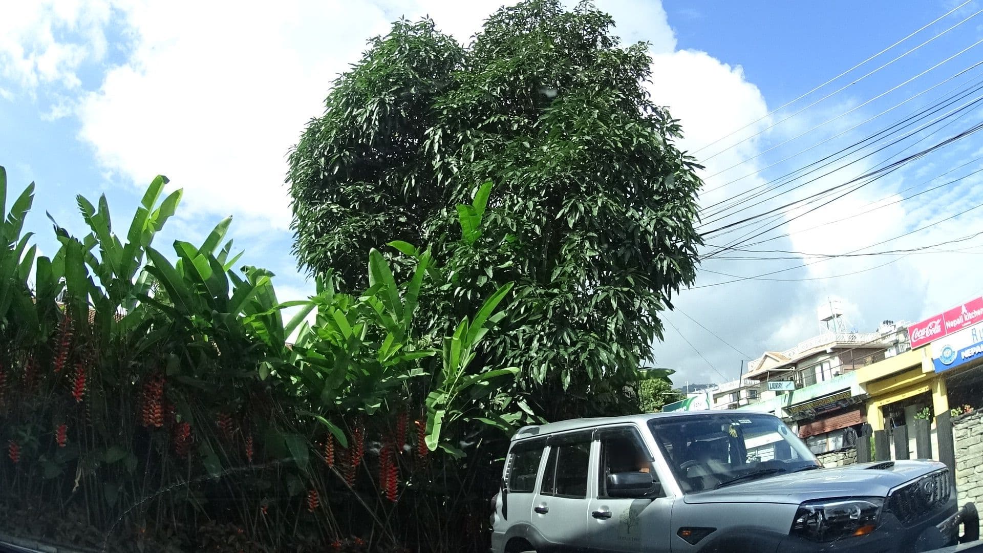 Street view near Temple Tree Resort & Spa, Pokhara — © geohacker (CC BY-SA · Mapillary)