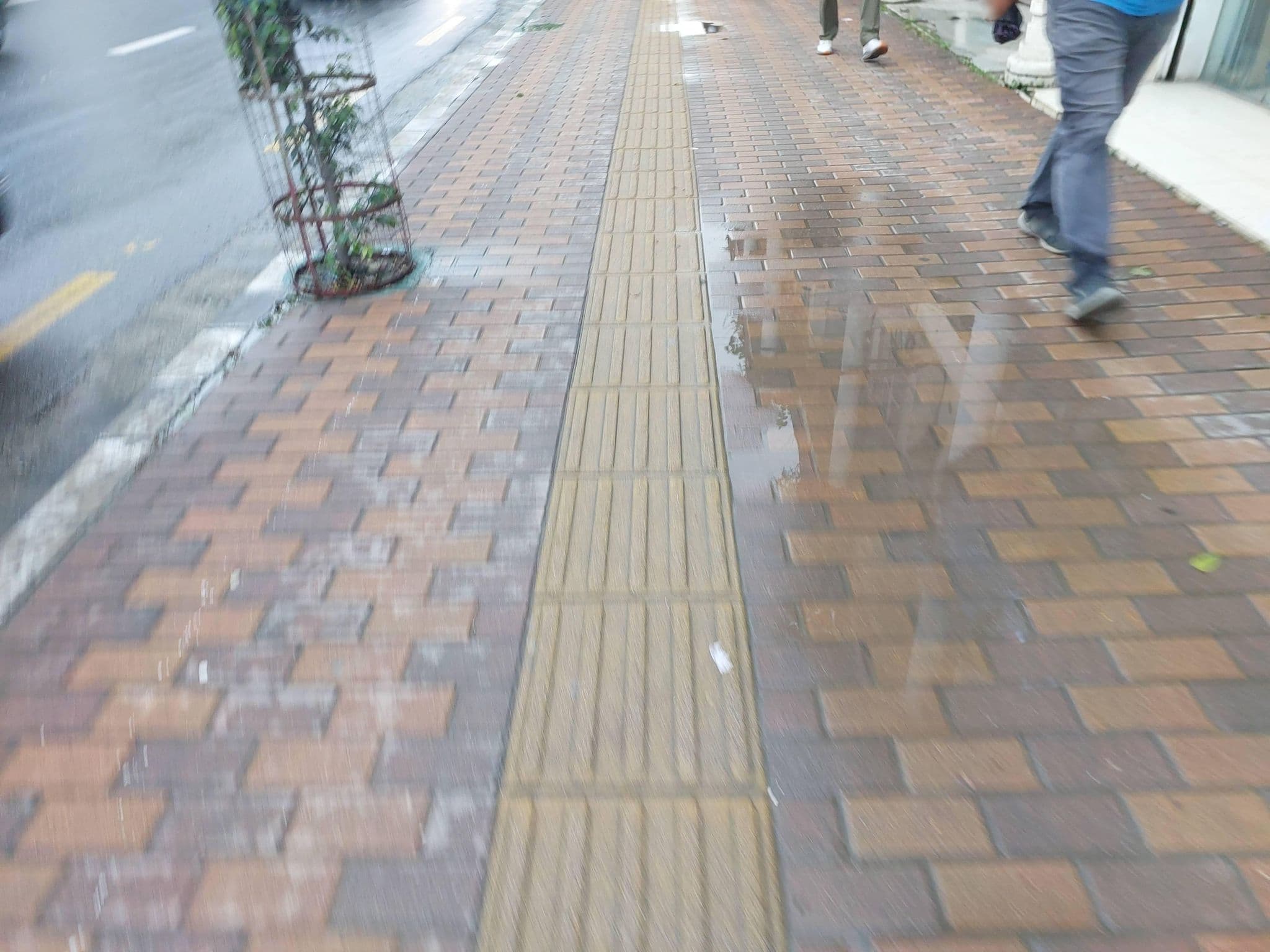 Street view near Holidays to Nepal Pvt. Ltd, Kathmandu — © shashish (CC BY-SA · Mapillary)