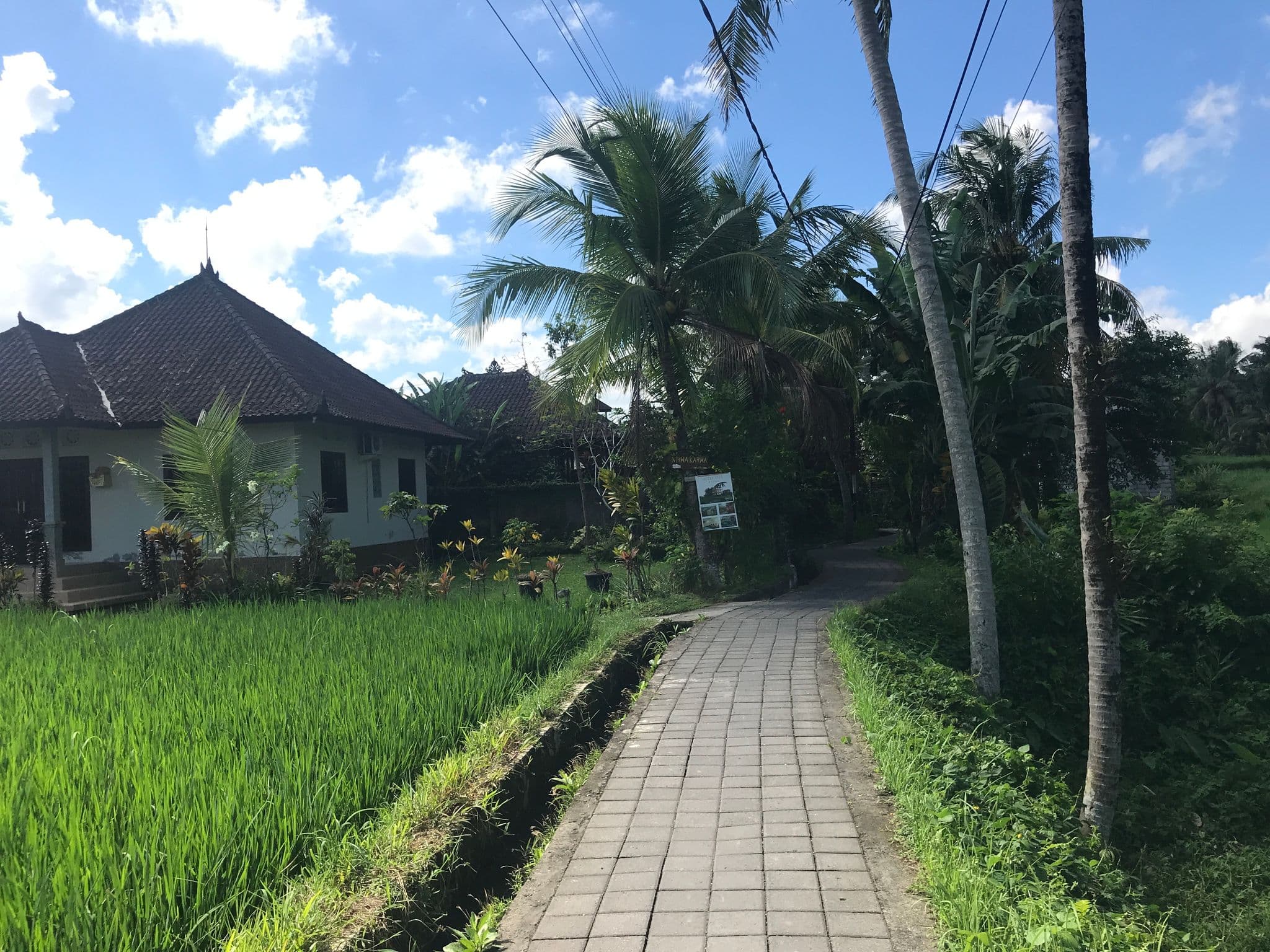 Street view near Pondok Padi, Ubud