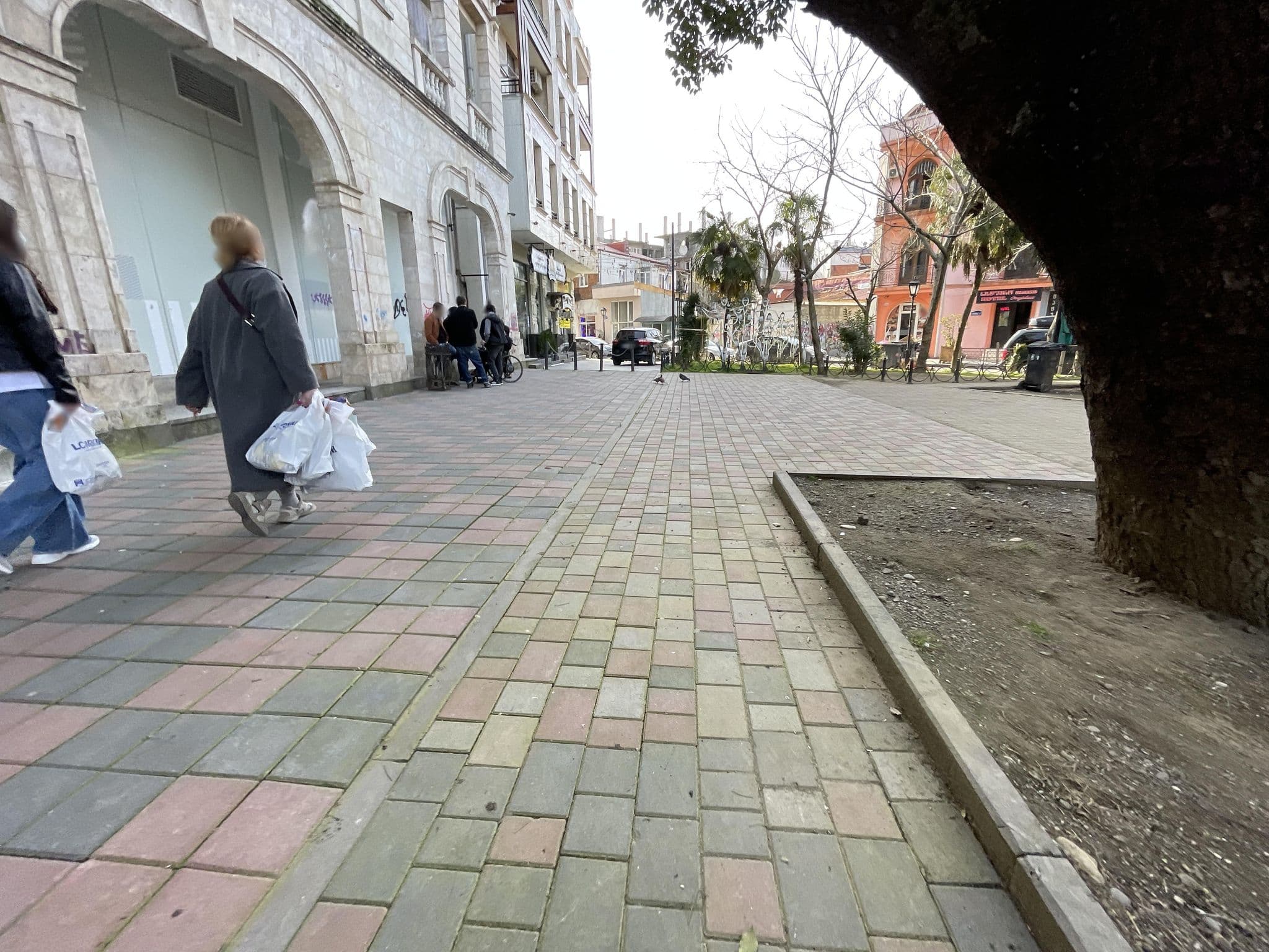 Street view near Porto Livre, Batumi — © egorka (CC BY-SA · Mapillary)
