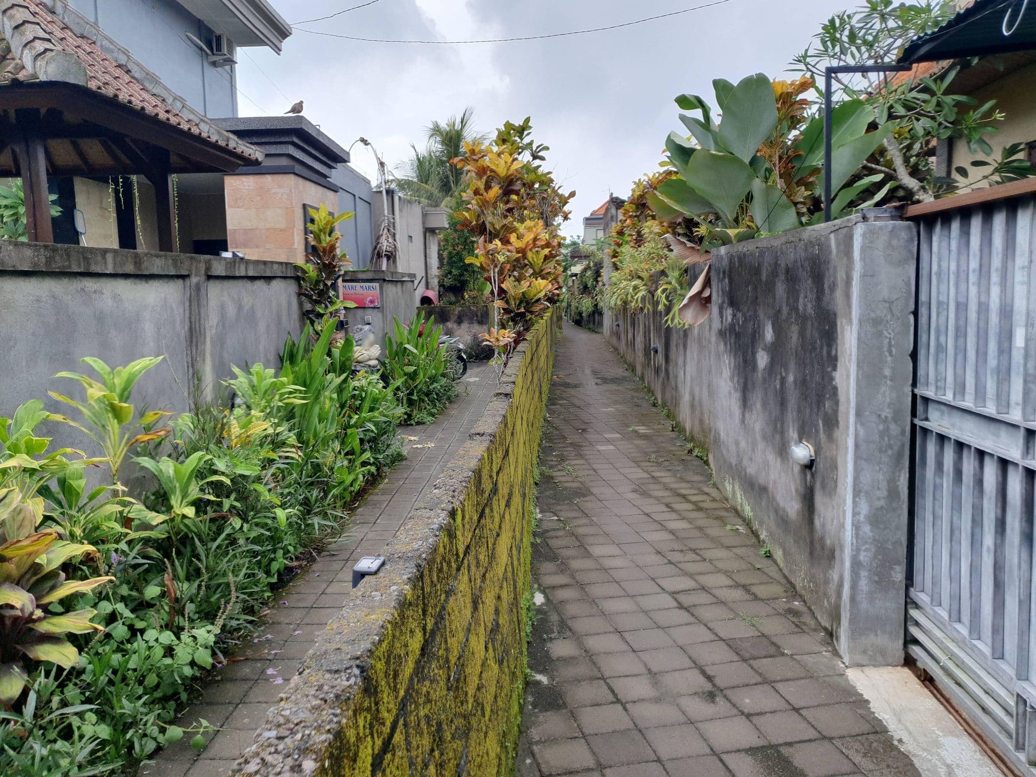 Street view near Rena House Ubud, Ubud