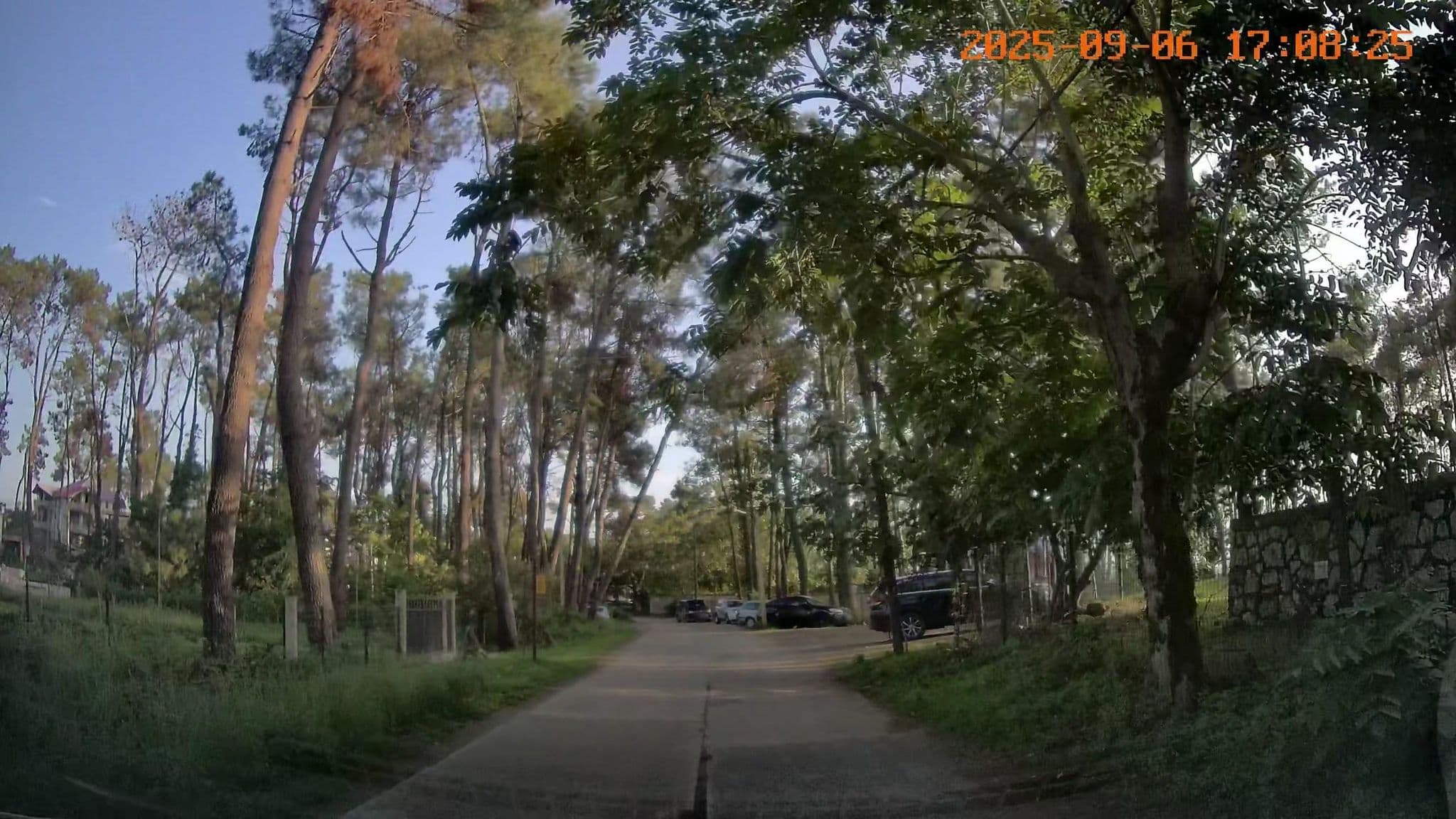 Street view near Oxygen Shekvetili, Ureki — © bdgwl (CC BY-SA · Mapillary)