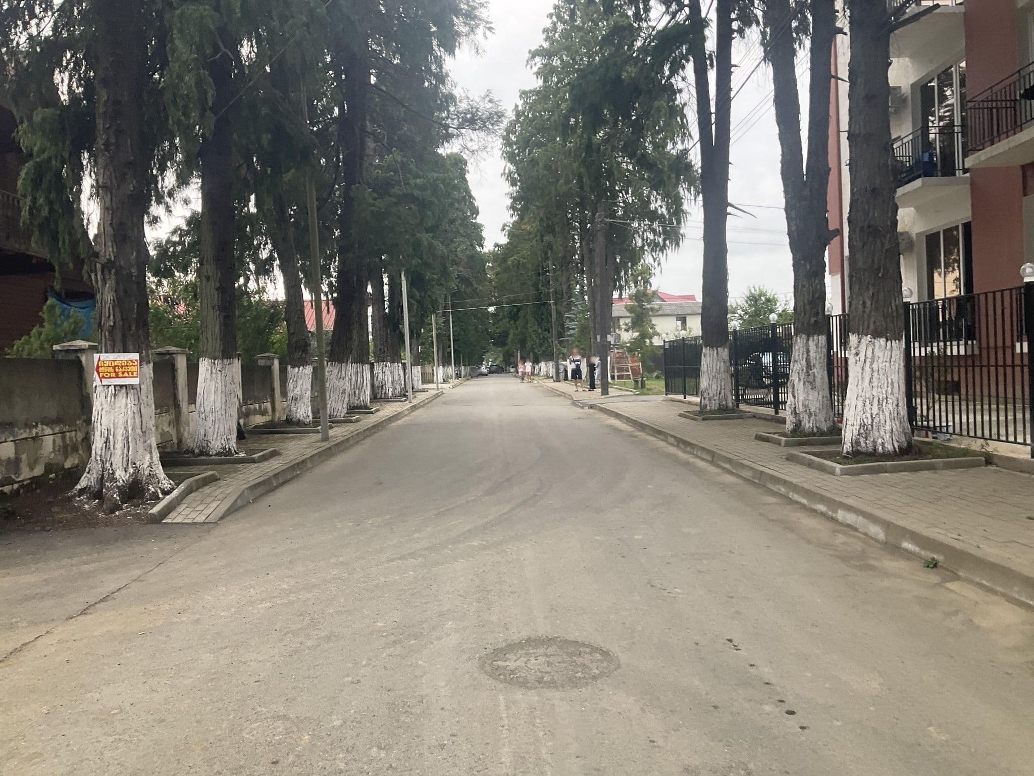 Street view near Kukaracha Hotel, Ureki — © thelastofmaddogs (CC BY-SA · Mapillary)