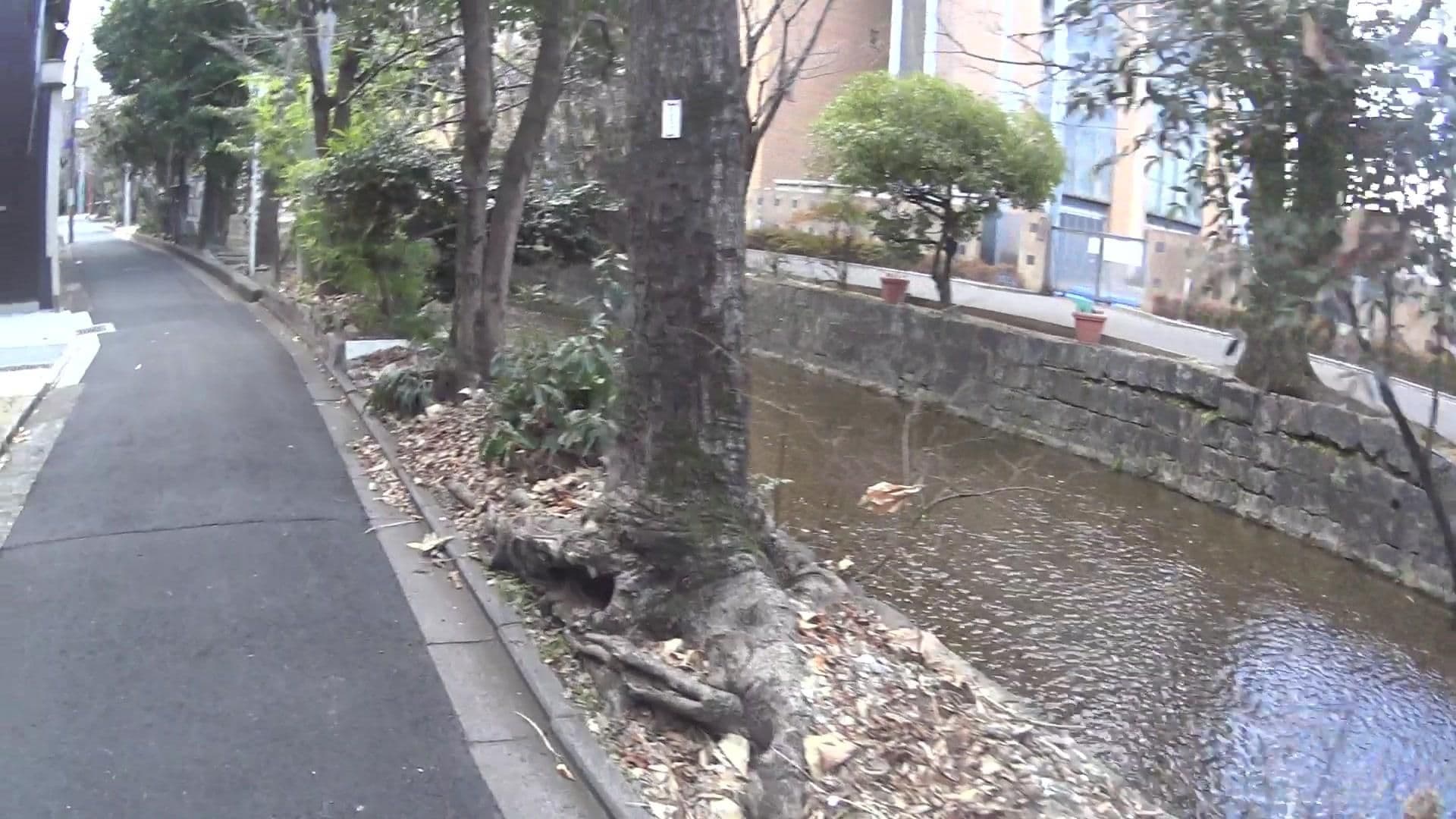 Street view near HATSUNE GUESTHOUSE, Kyoto — © yasunari (CC BY-SA · Mapillary)