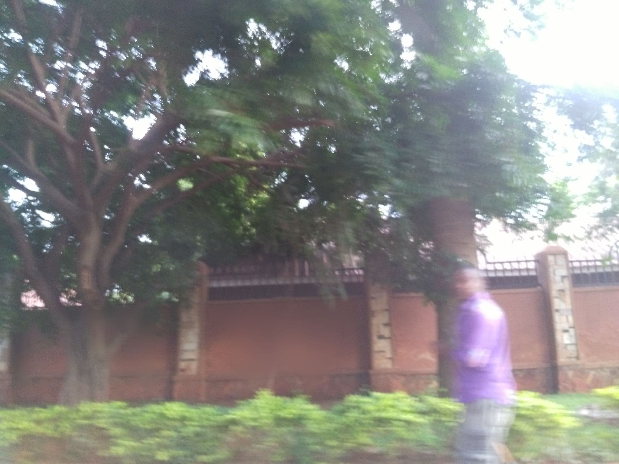 Street view near CASA SONRISA JINJA, Jinja — © ralebipim (CC BY-SA · Mapillary)