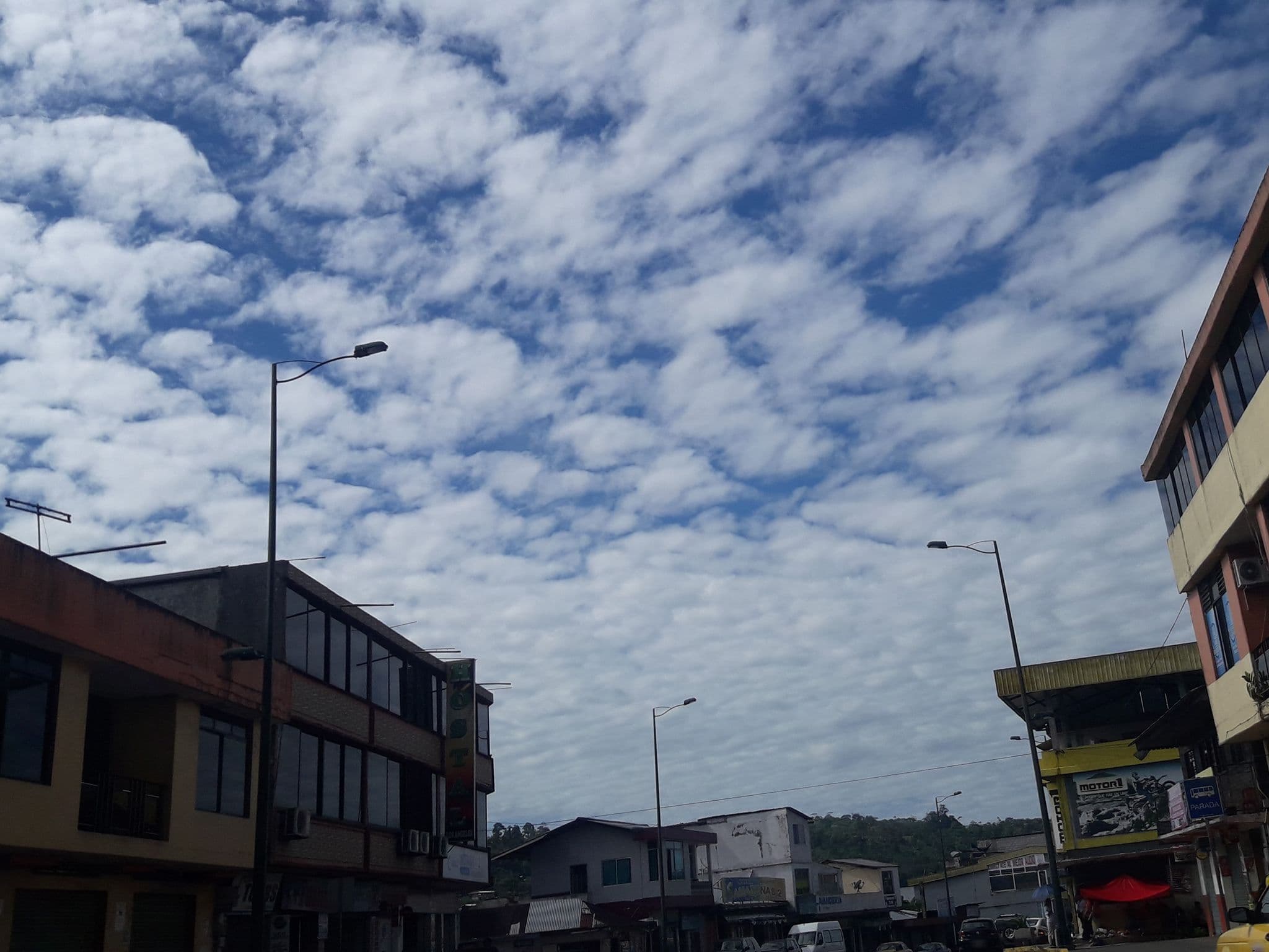 Street view near LOS ANGELES HOSTAL, Tena — © yesenia22 (CC BY-SA · Mapillary)
