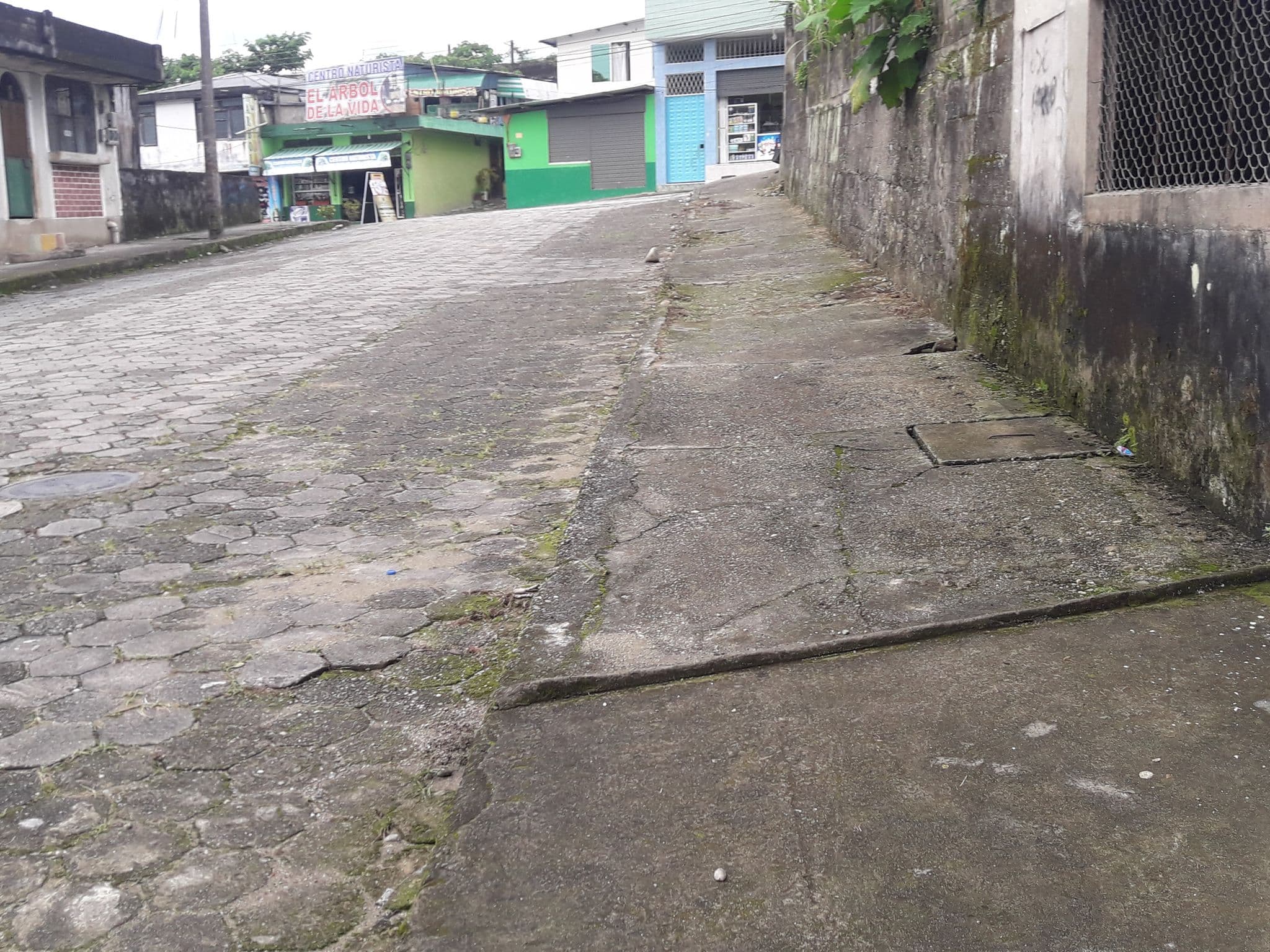 Street view near Lodge Victoria, Tena — © yesenia22 (CC BY-SA · Mapillary)