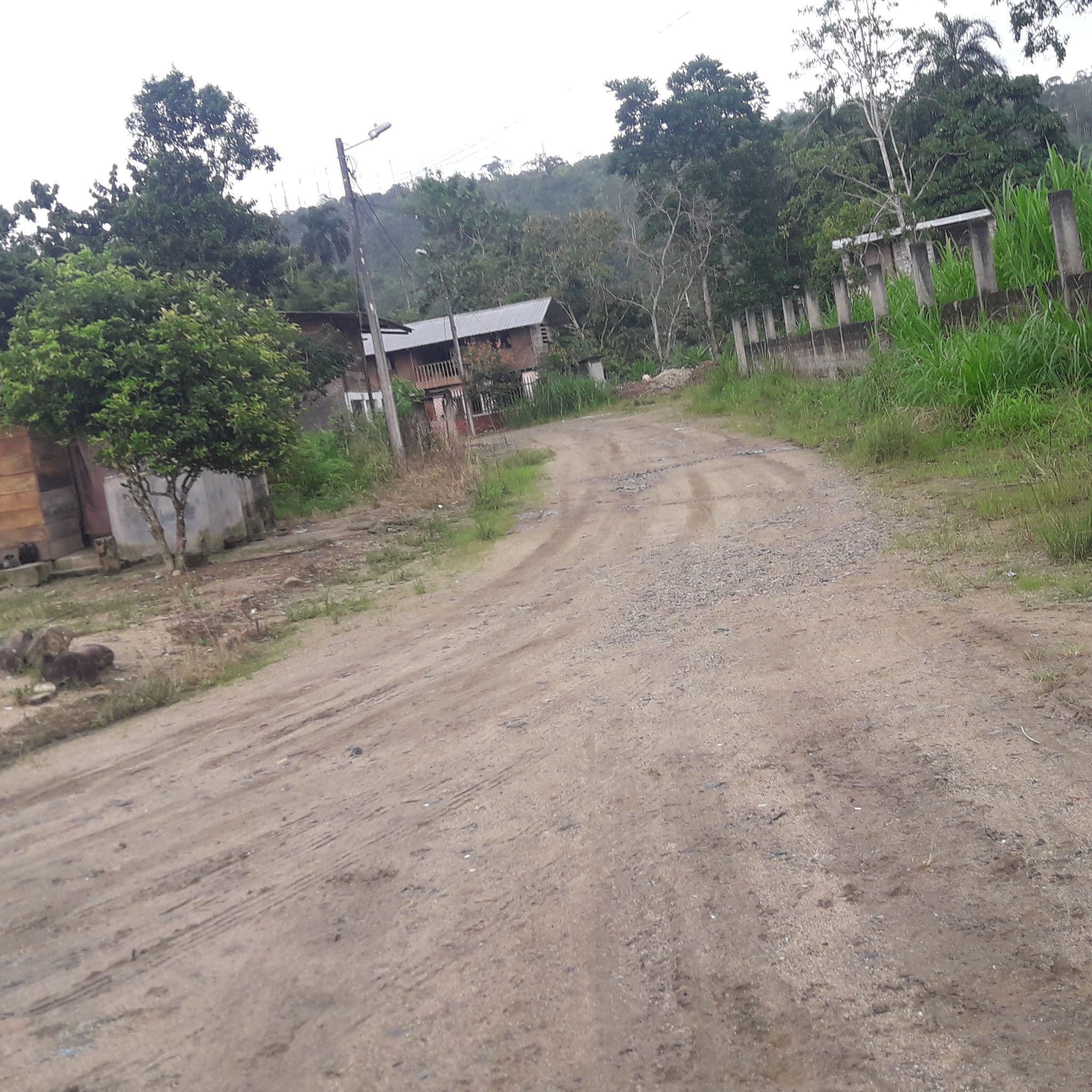 Street view near Bunker593 Inn, Tena — © yesenia22 (CC BY-SA · Mapillary)