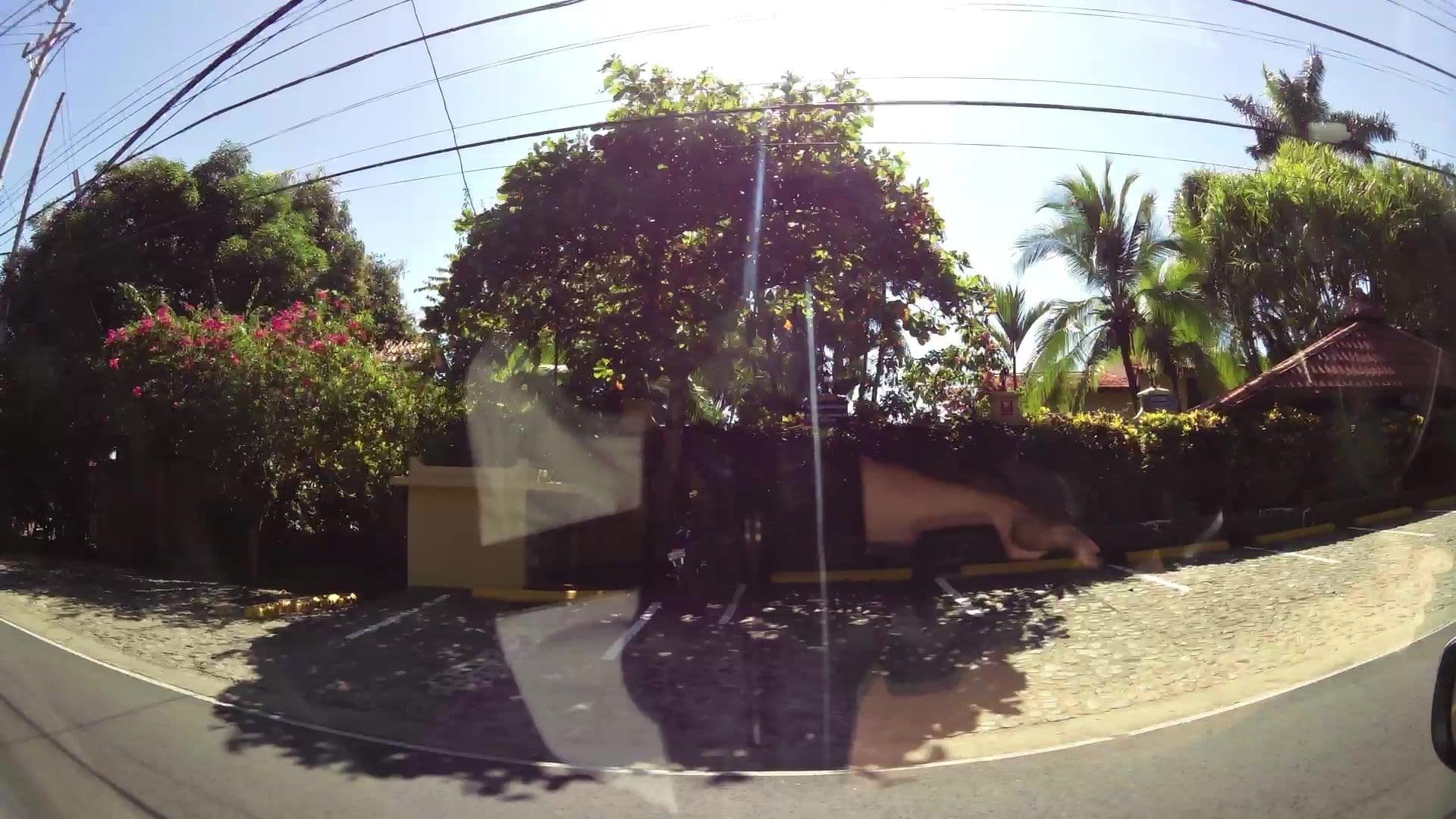 Street view near Hotel Villas Nicolas - Adults Only, Quepos — © kaartcam (CC BY-SA · Mapillary)
