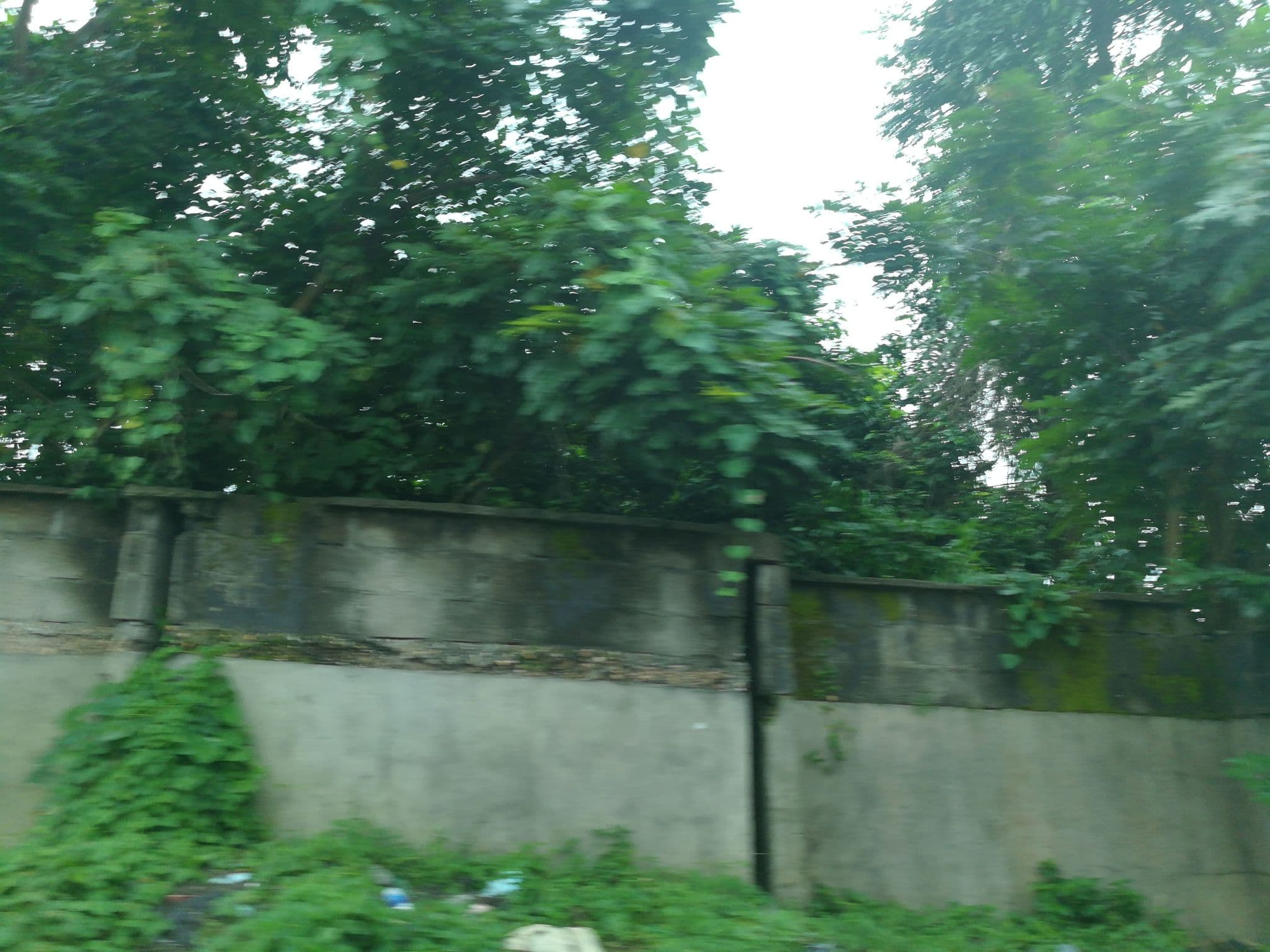 Street view near Genesis Wellness Park, Port Harcourt — © ralebipim (CC BY-SA · Mapillary)