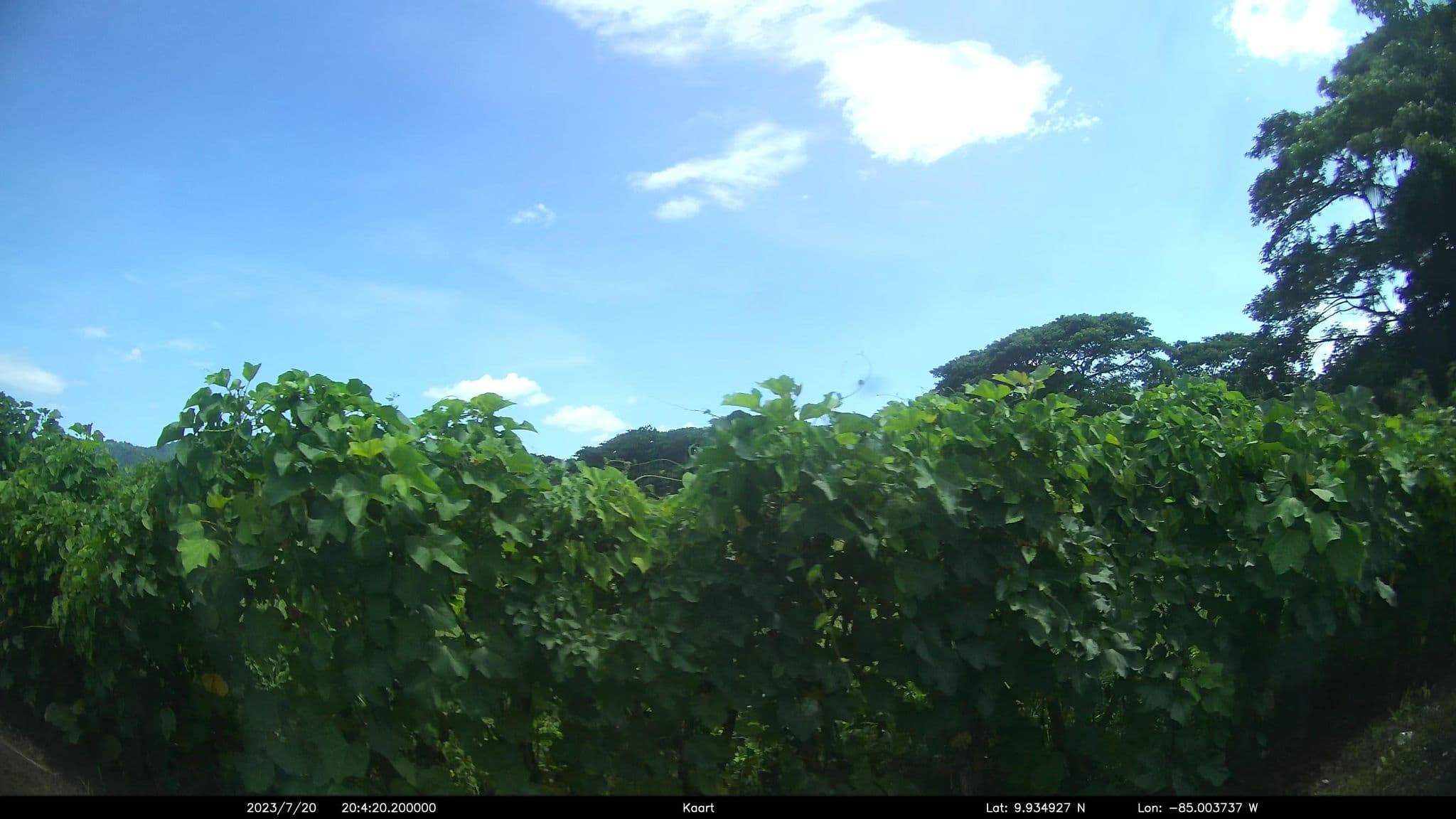 Street view near Primer Canto B&B- Near Ferry & Early Birdwatching Trails, Paquera — © kaart_1 (CC BY-SA · Mapillary)