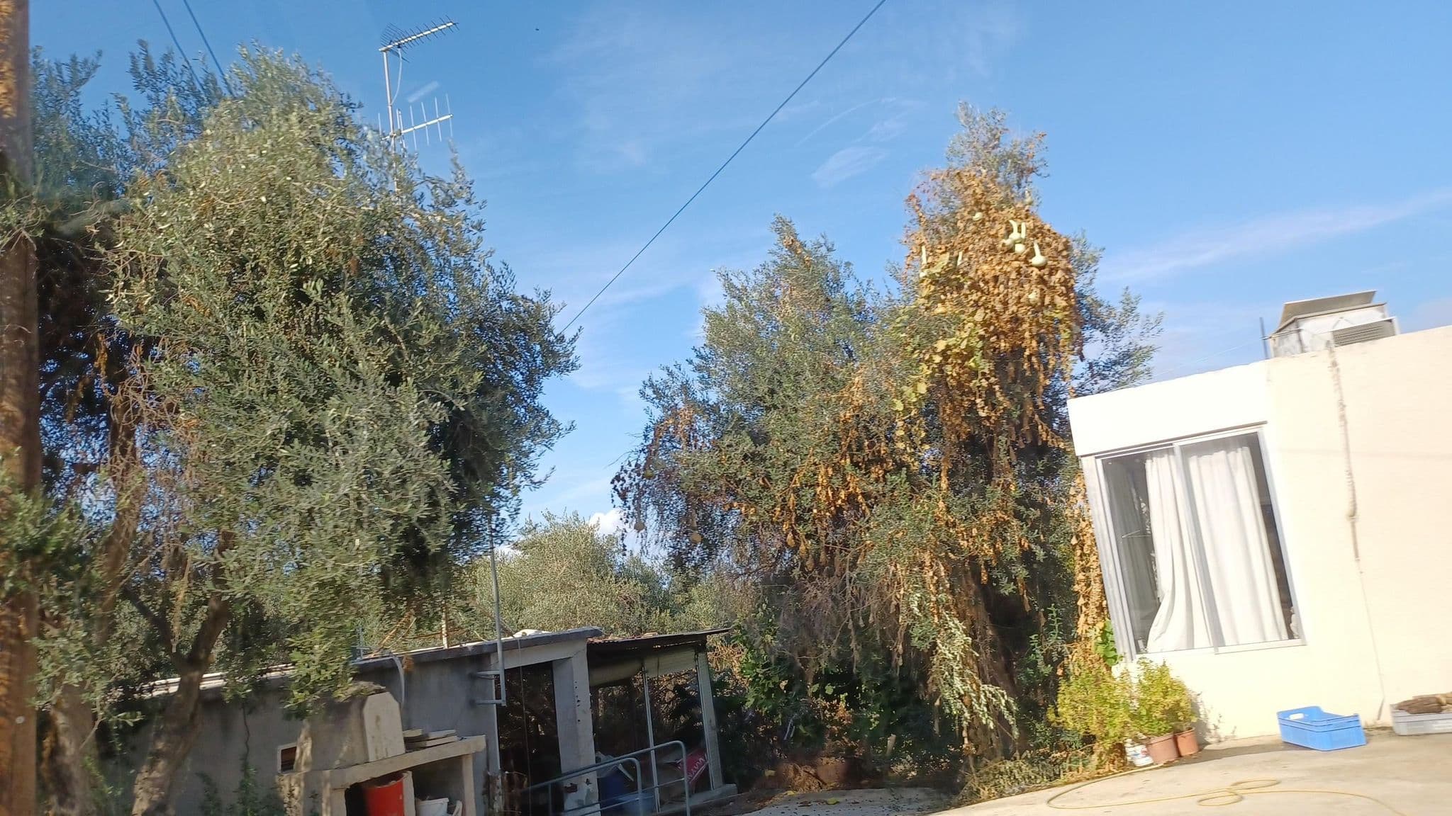 Street view near Happy Village, Pólis — © noa1 (CC BY-SA · Mapillary)