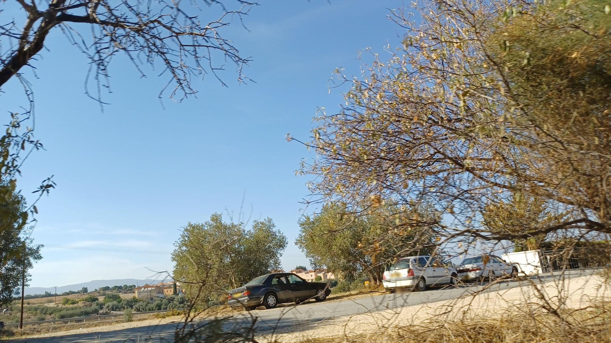 Street view near Mandola Rosa, Pólis — © noa1 (CC BY-SA · Mapillary)