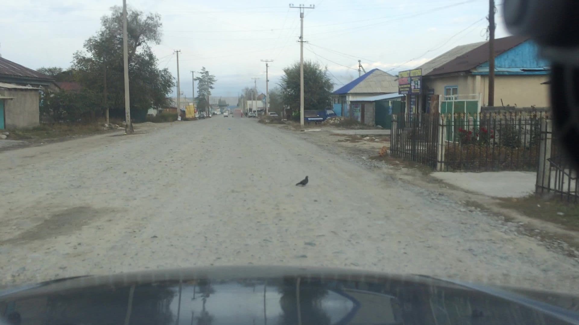 Street view near guest house sono, Karakol — © lvl5 (CC BY-SA · Mapillary)