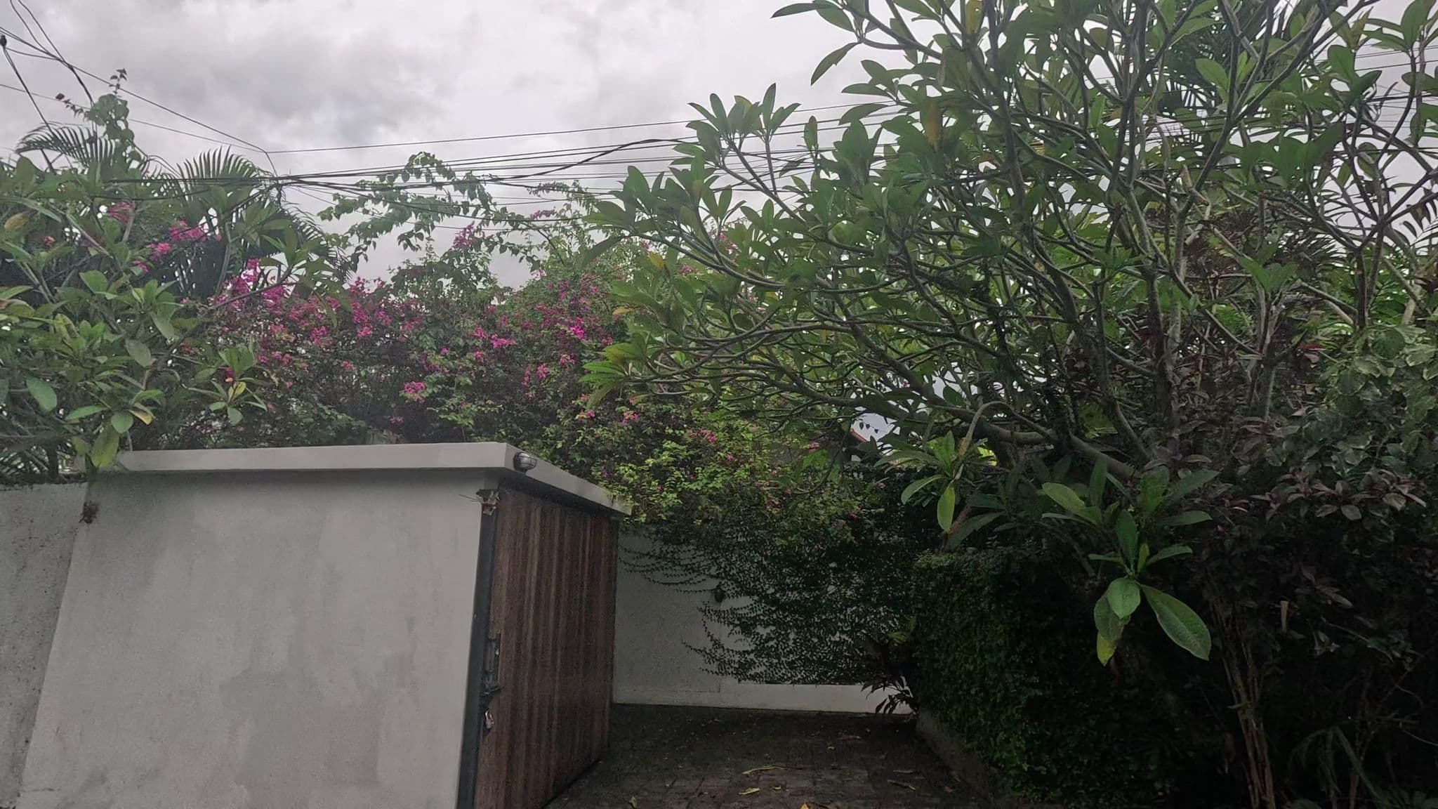 Street view near fam villa, Dalung — © alyapuspita (CC BY-SA · Mapillary)