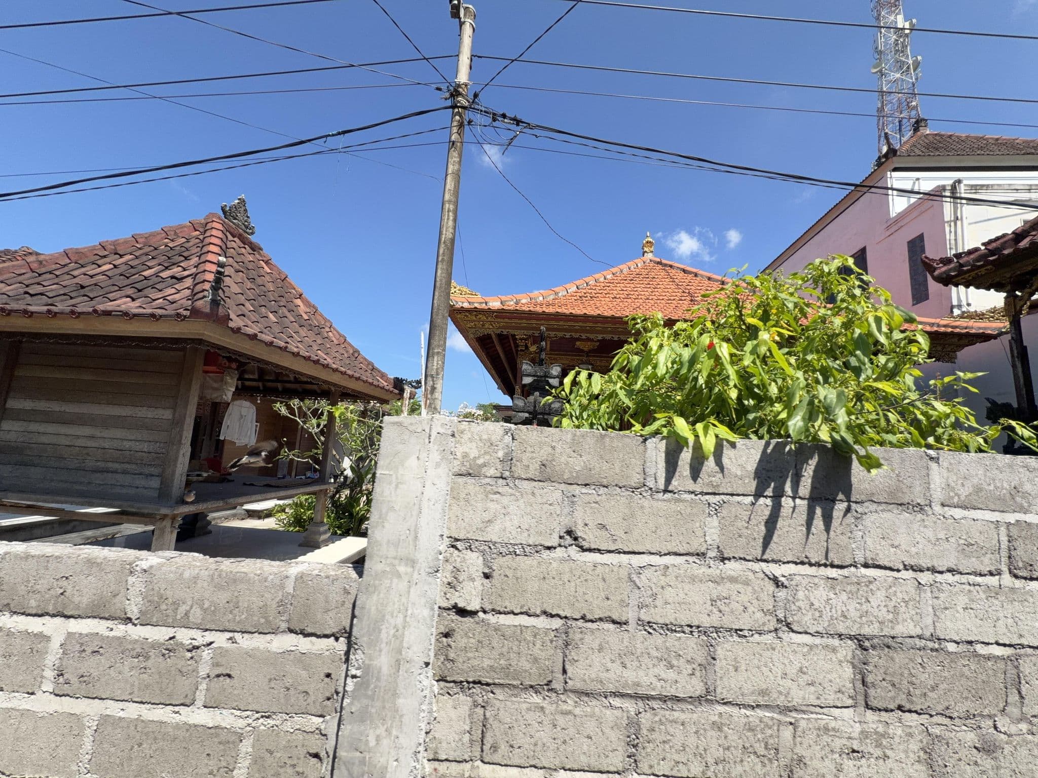 Street view near Pange Hostel, Klungkung