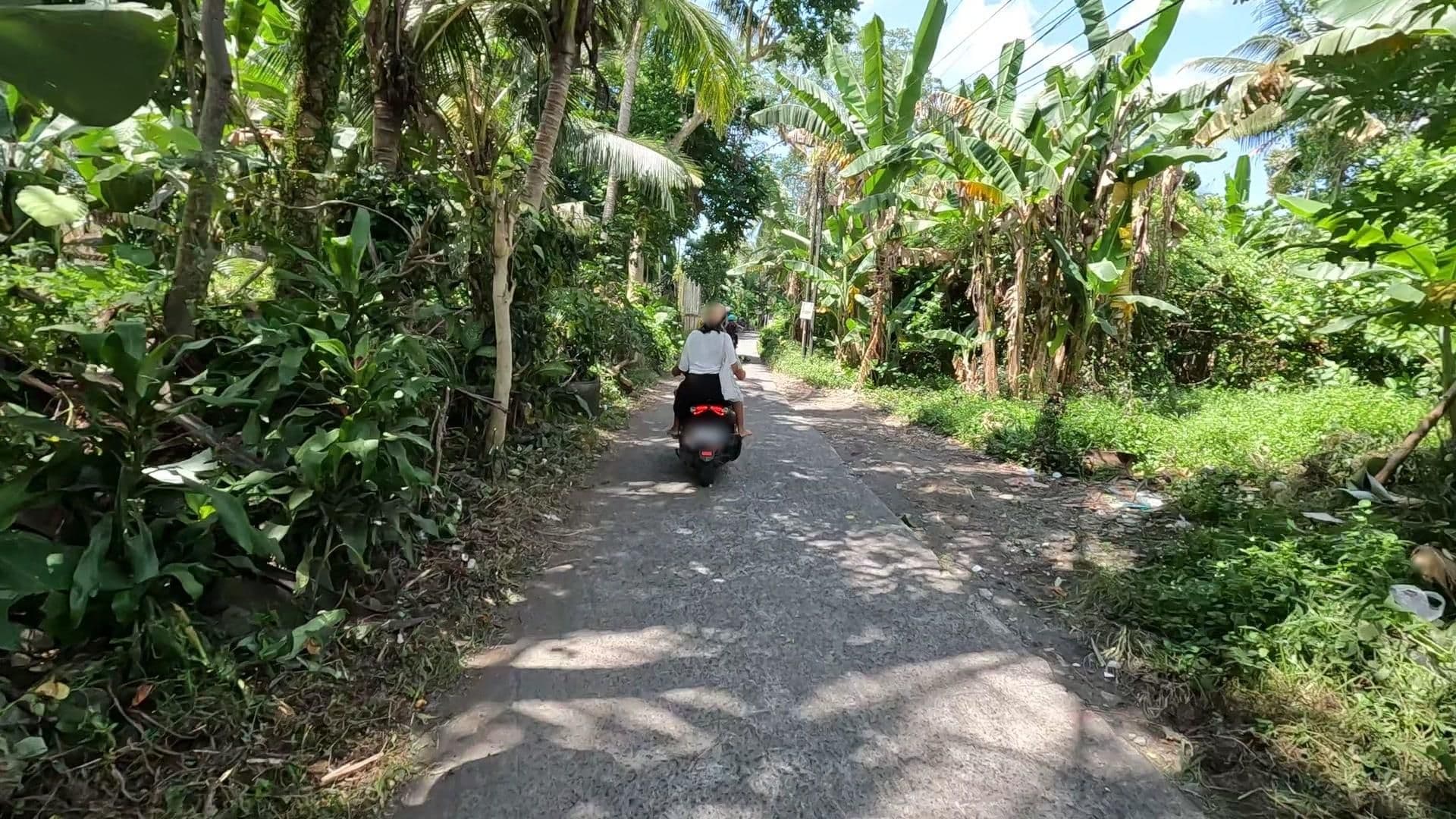 Street view near Kampung Ubud Villa, Ubud — © lucomsky (CC BY-SA · Mapillary)