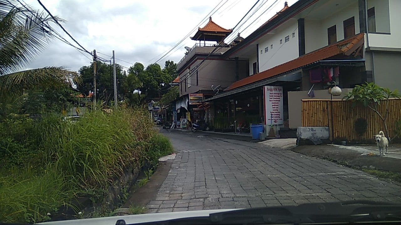 Street view near Sari Bungalows, Ubud