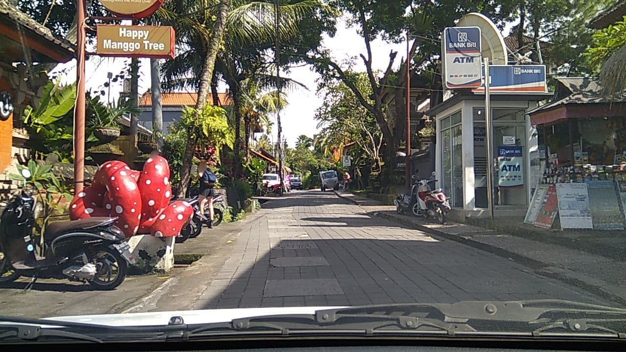 Street view near Jero Di Bisma, Ubud
