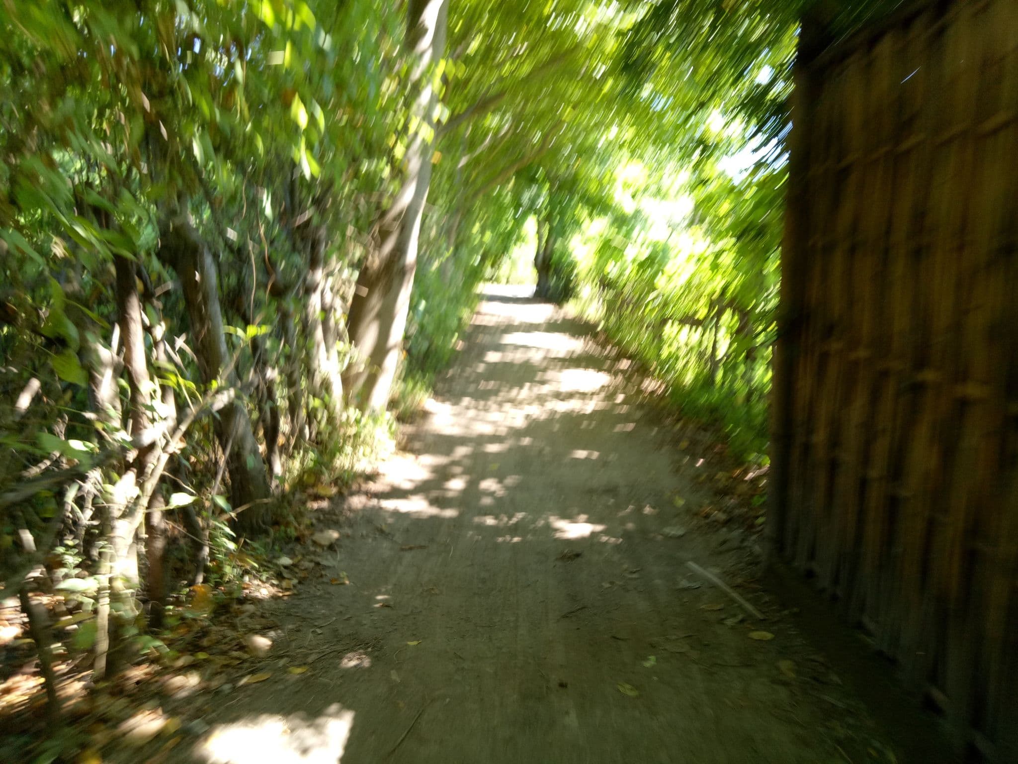 Street view near Musa Villas and Bungalows Bintang, Gili Air