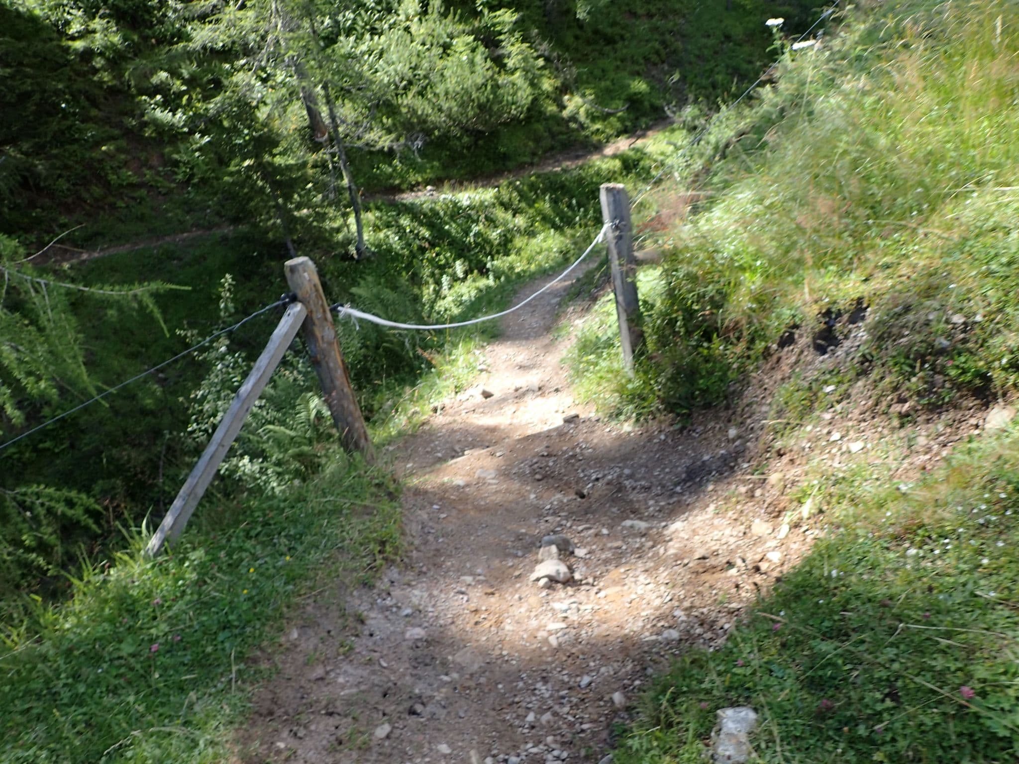 Street view near Pichl Alm, Maria Alm am Steinernen Meer — © schermy_at (CC BY-SA · Mapillary)