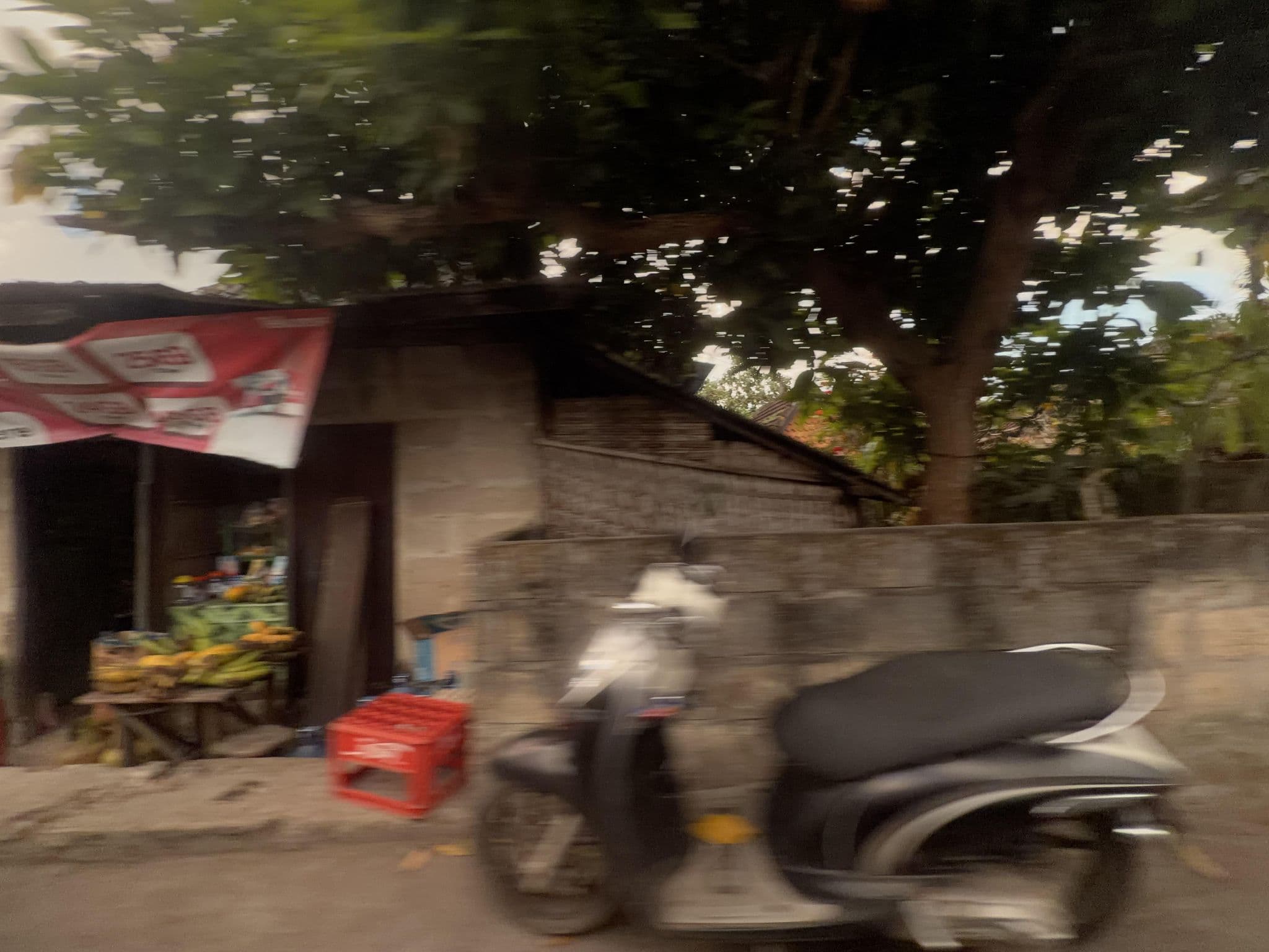 Street view near Dagan bungalow, Klungkung