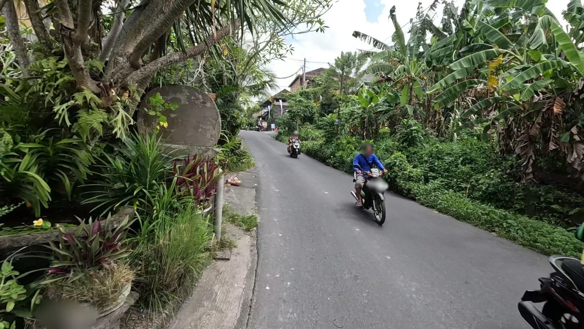 Street view near I Komang, Ubud